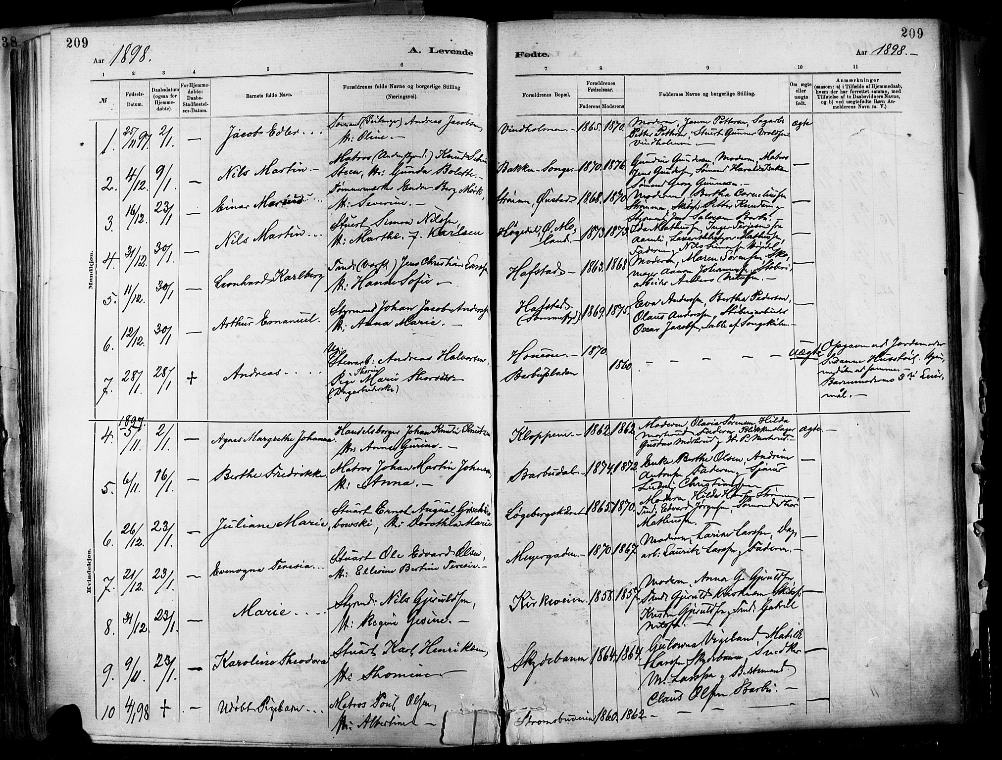 Barbu sokneprestkontor, SAK/1111-0003/F/Fa/L0002: Parish register (official) no. A 2, 1883-1898, p. 209
