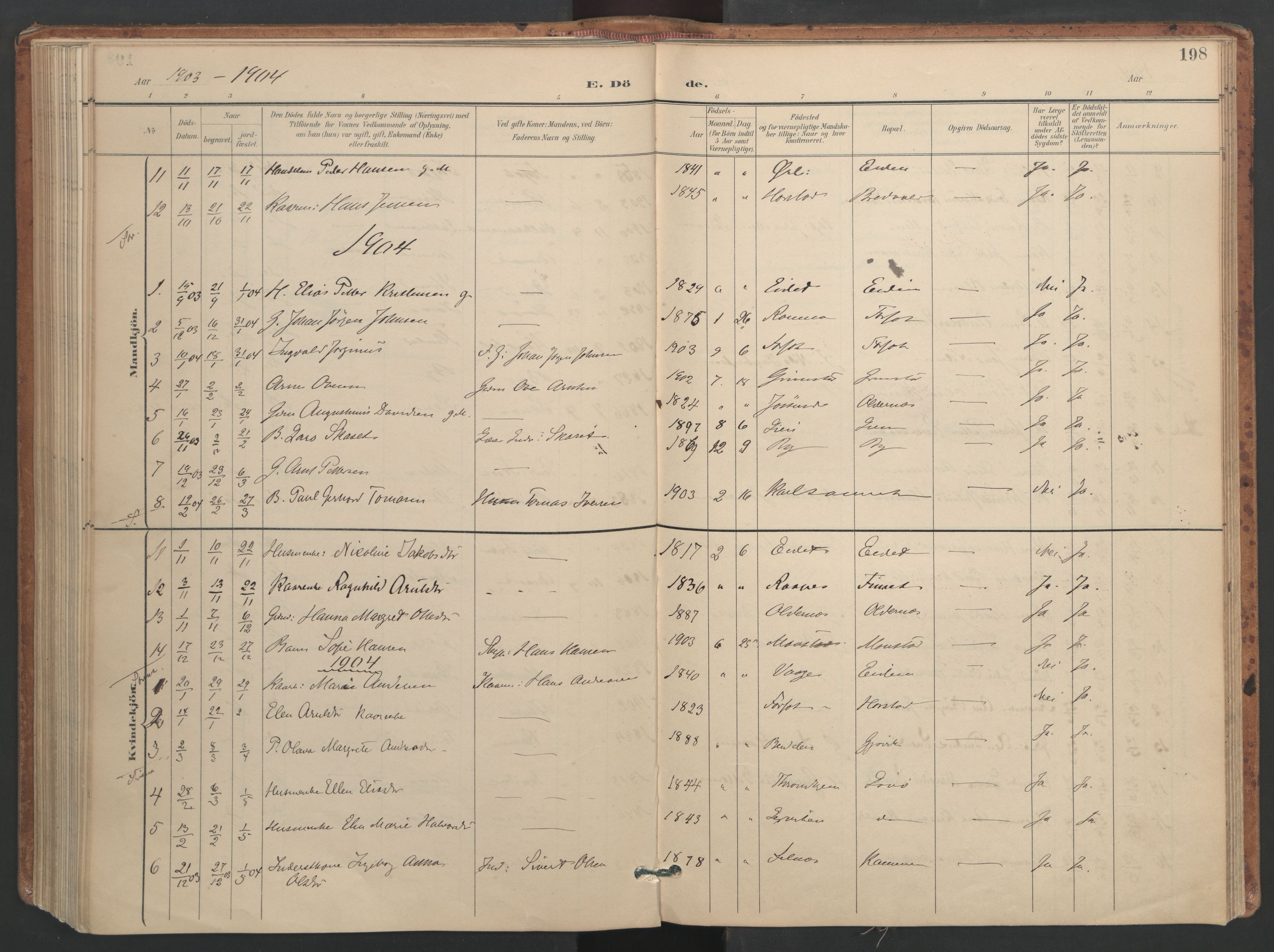 Ministerialprotokoller, klokkerbøker og fødselsregistre - Sør-Trøndelag, AV/SAT-A-1456/655/L0681: Parish register (official) no. 655A10, 1895-1907, p. 198