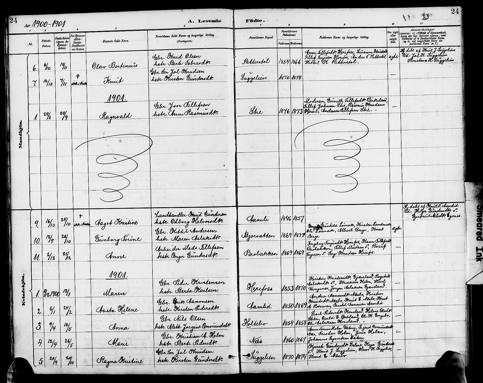 Herefoss sokneprestkontor, AV/SAK-1111-0019/F/Fb/Fba/L0003: Parish register (copy) no. B 3, 1887-1925, p. 24