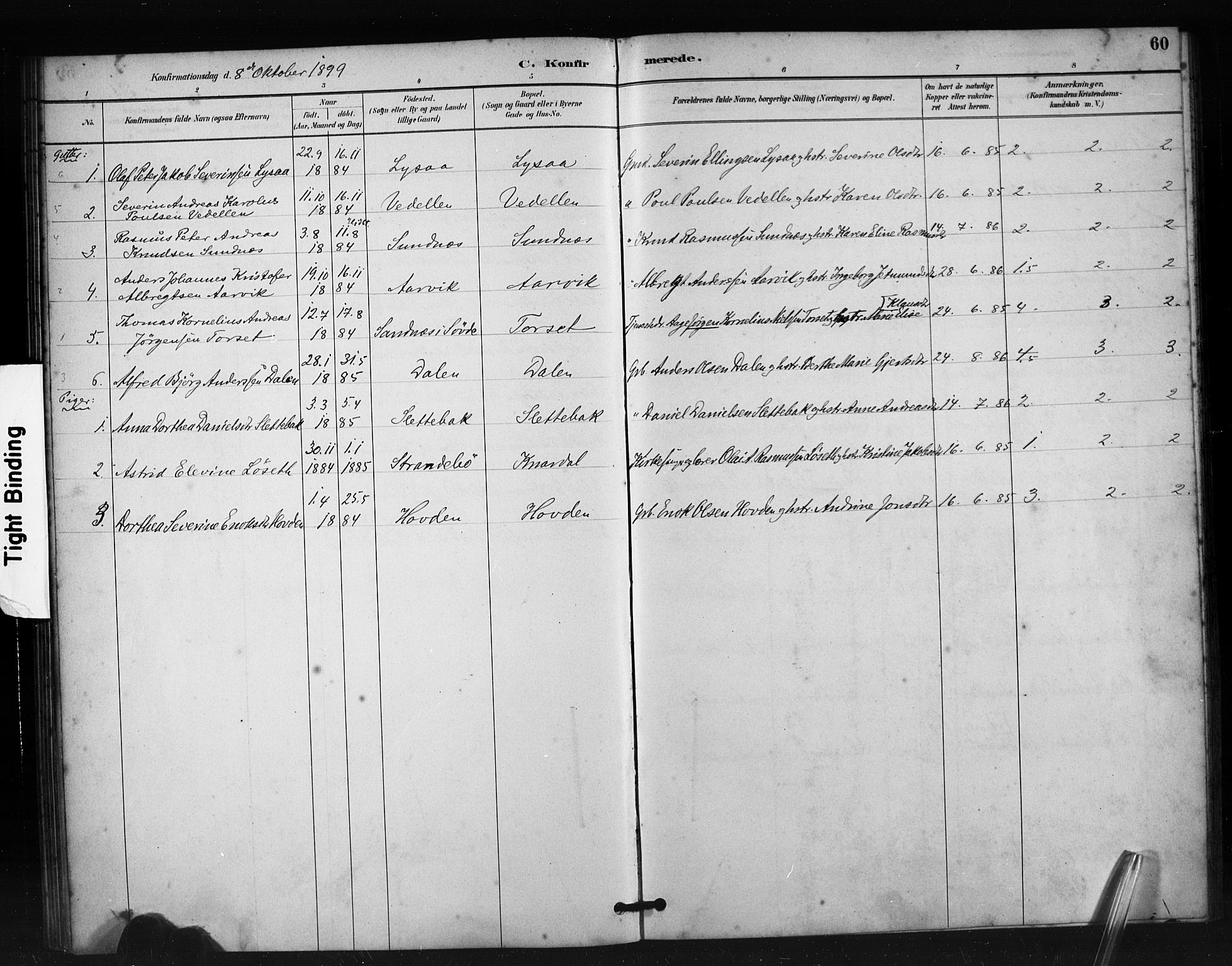 Ministerialprotokoller, klokkerbøker og fødselsregistre - Møre og Romsdal, AV/SAT-A-1454/504/L0056: Parish register (official) no. 504A03, 1884-1904, p. 60