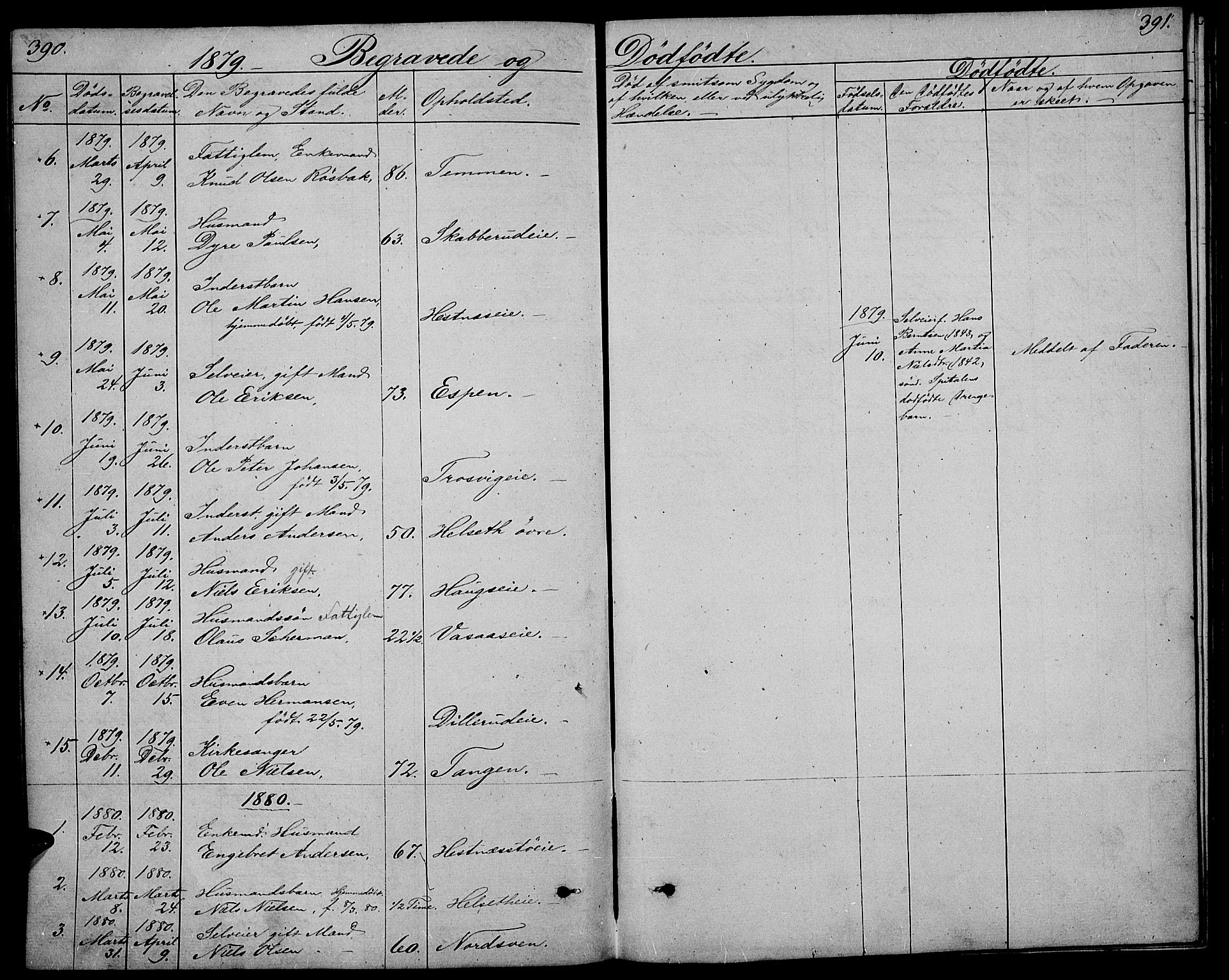 Stange prestekontor, SAH/PREST-002/L/L0005: Parish register (copy) no. 5, 1861-1881, p. 390-391