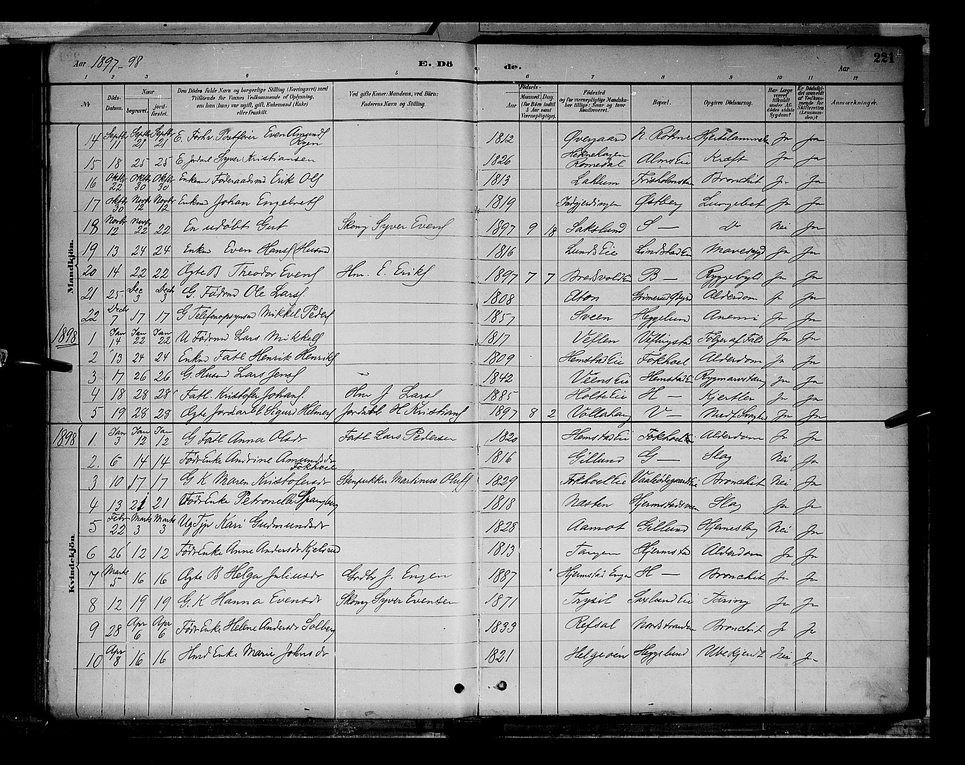 Stange prestekontor, SAH/PREST-002/L/L0009: Parish register (copy) no. 9, 1883-1899, p. 221