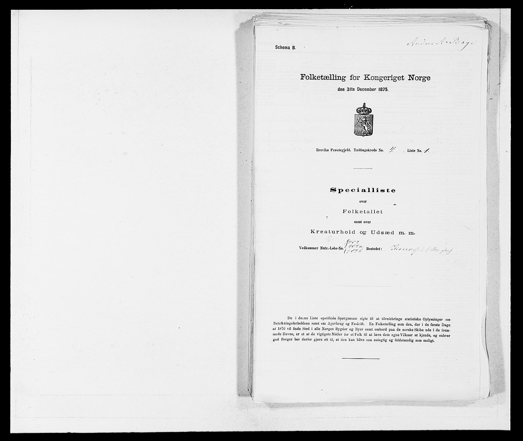 SAB, 1875 census for 1251P Bruvik, 1875, p. 253