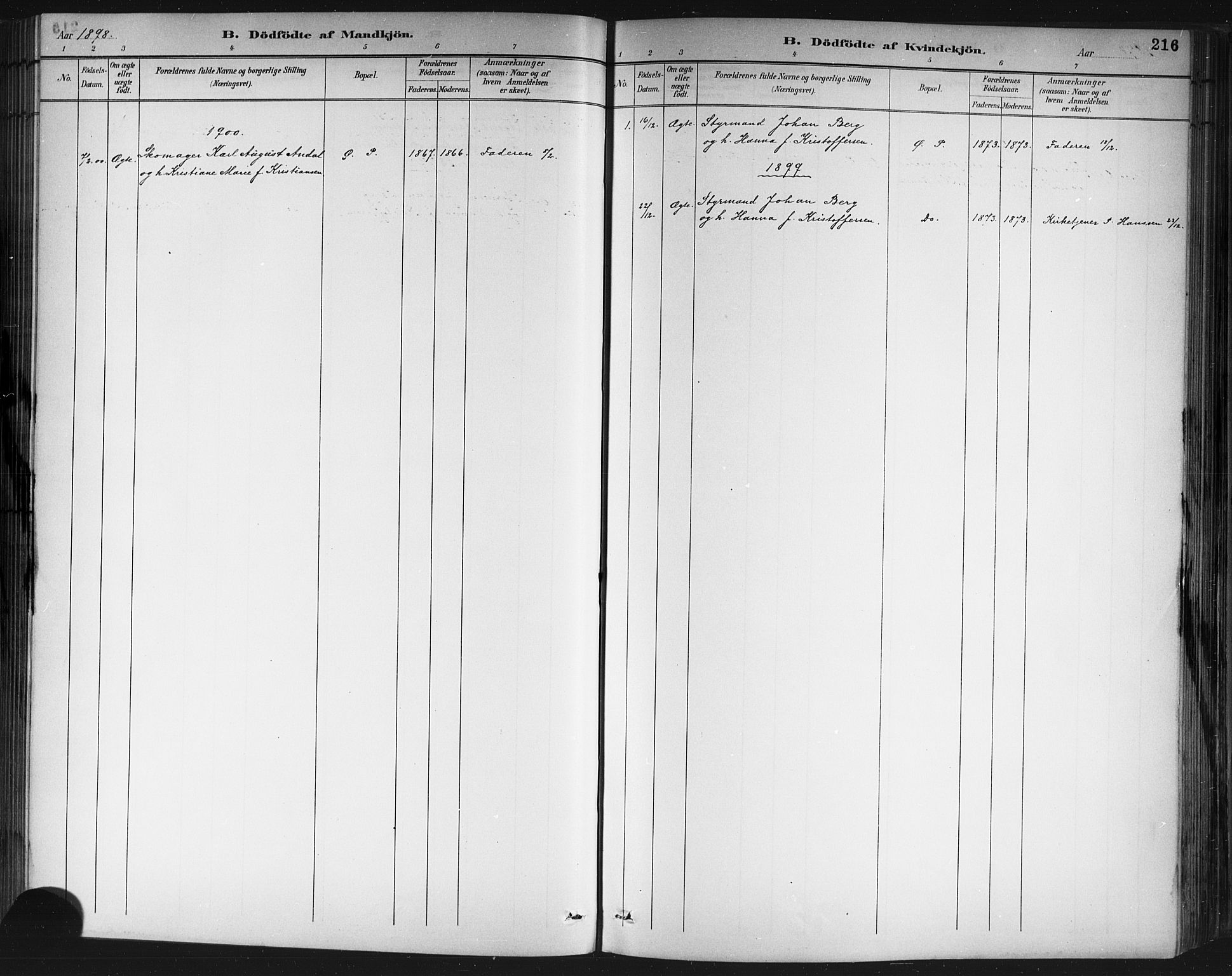 Porsgrunn kirkebøker , SAKO/A-104/G/Gb/L0005: Parish register (copy) no. II 5, 1883-1915, p. 216