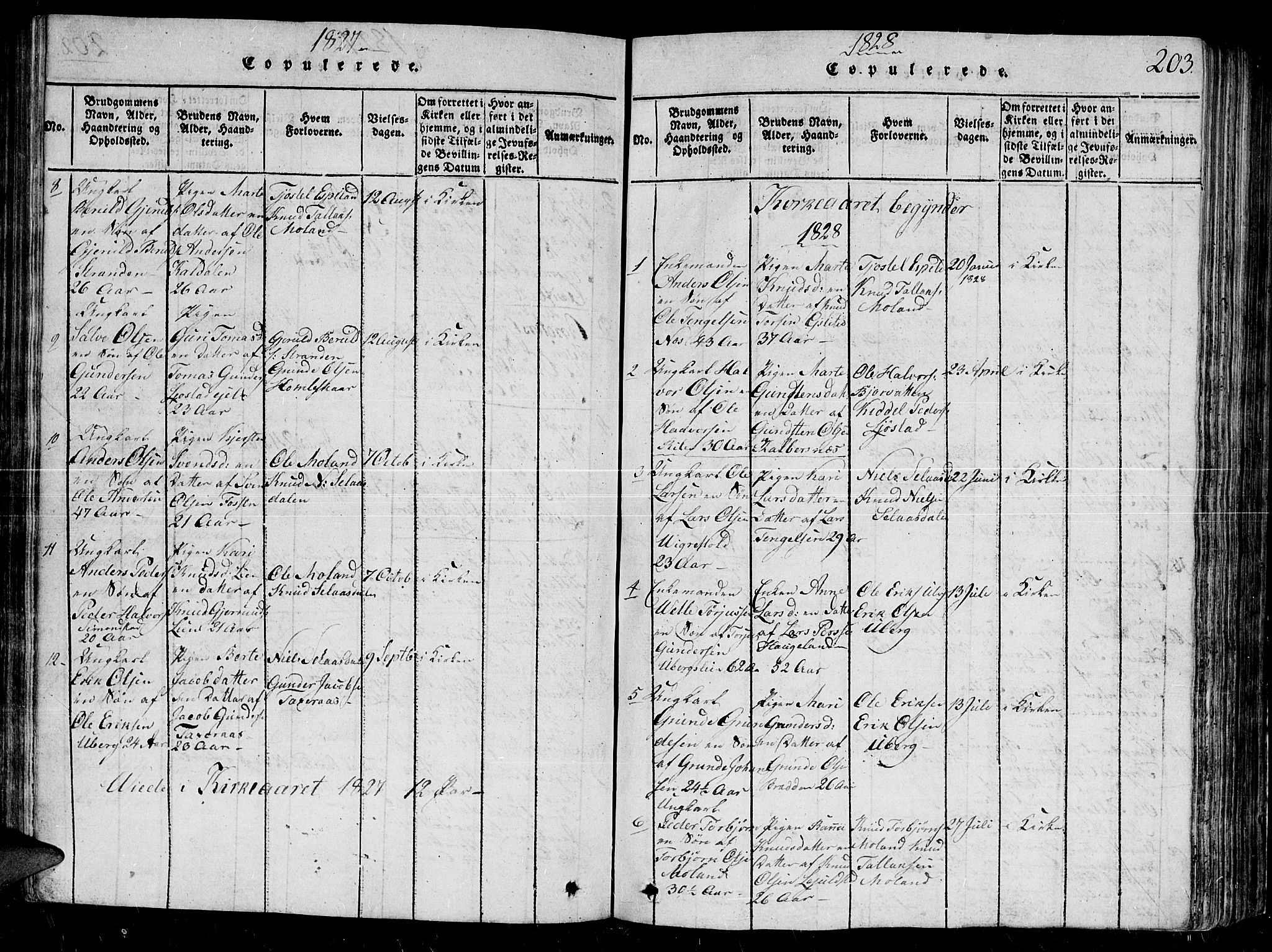 Gjerstad sokneprestkontor, SAK/1111-0014/F/Fb/Fbb/L0001: Parish register (copy) no. B 1, 1813-1863, p. 203