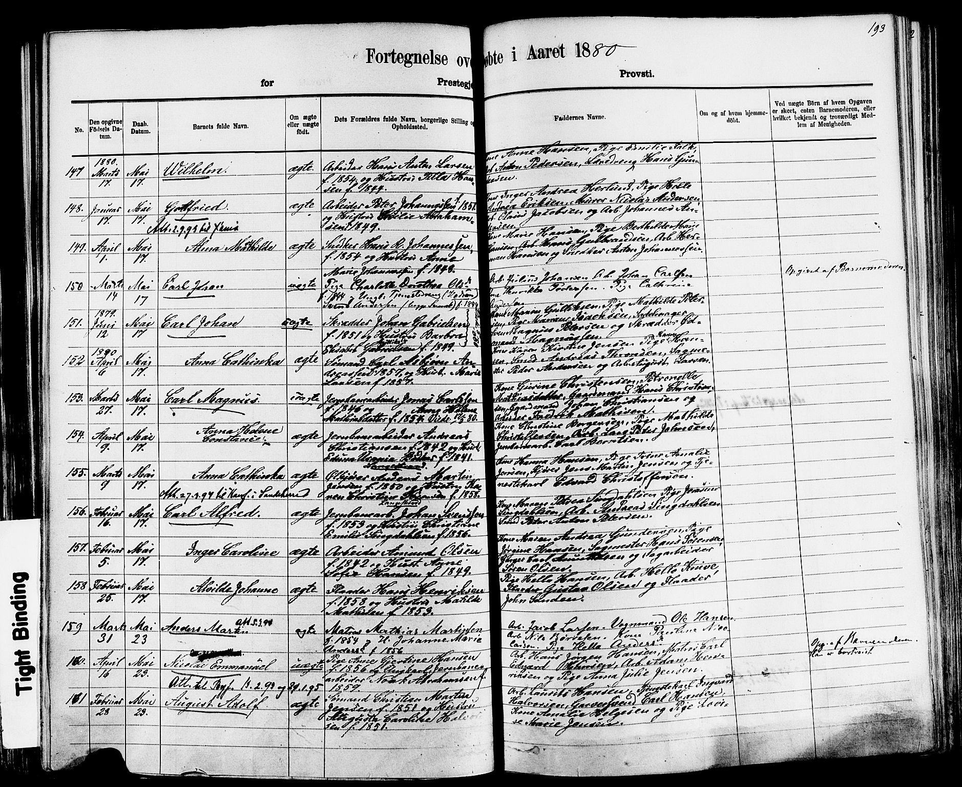 Larvik kirkebøker, AV/SAKO-A-352/F/Fa/L0006: Parish register (official) no. I 6, 1871-1883, p. 193