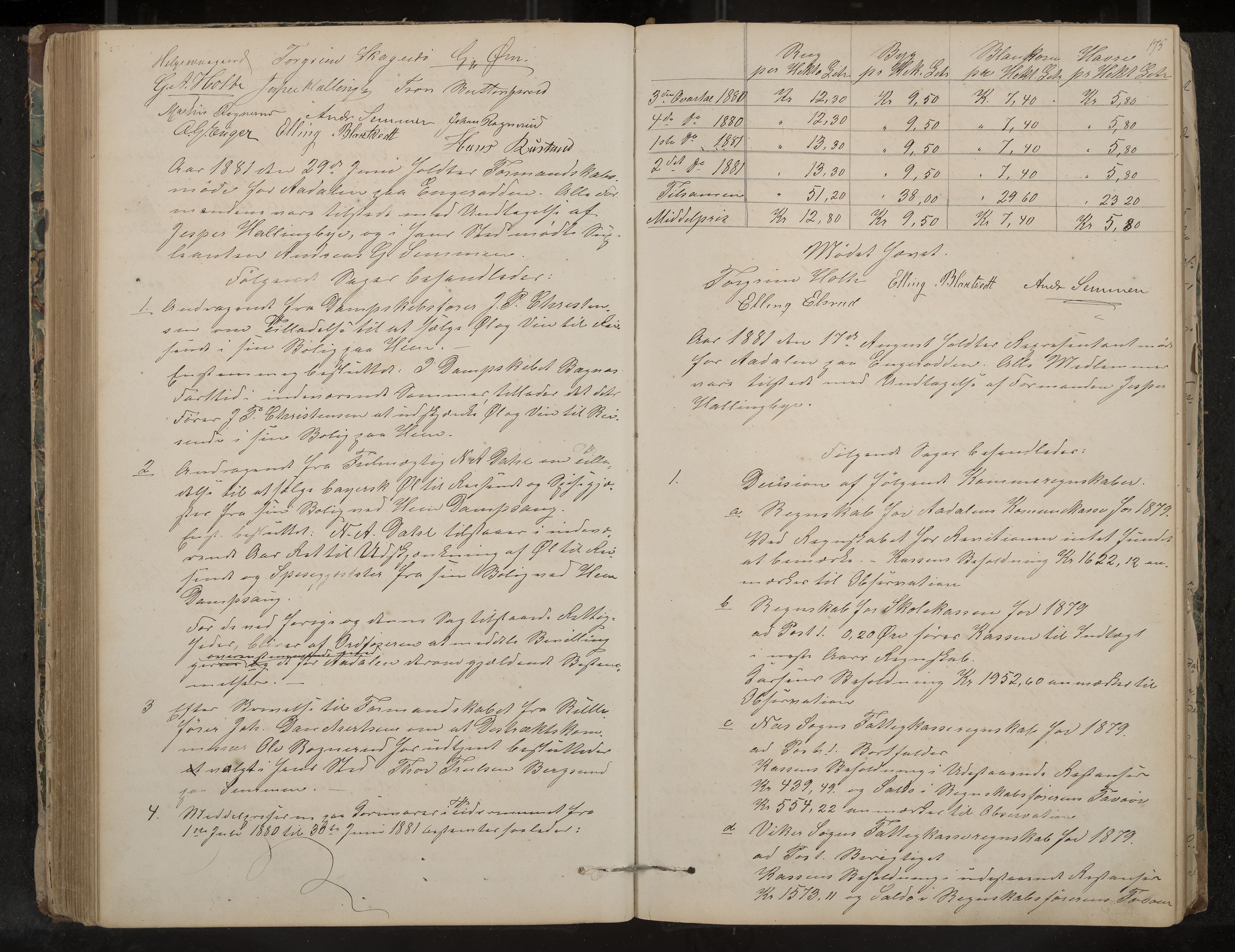 Ådal formannskap og sentraladministrasjon, IKAK/0614021/A/Aa/L0001: Møtebok, 1858-1891, p. 175