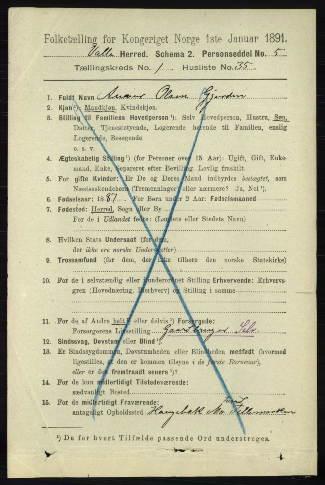 RA, 1891 census for 0940 Valle, 1891, p. 318