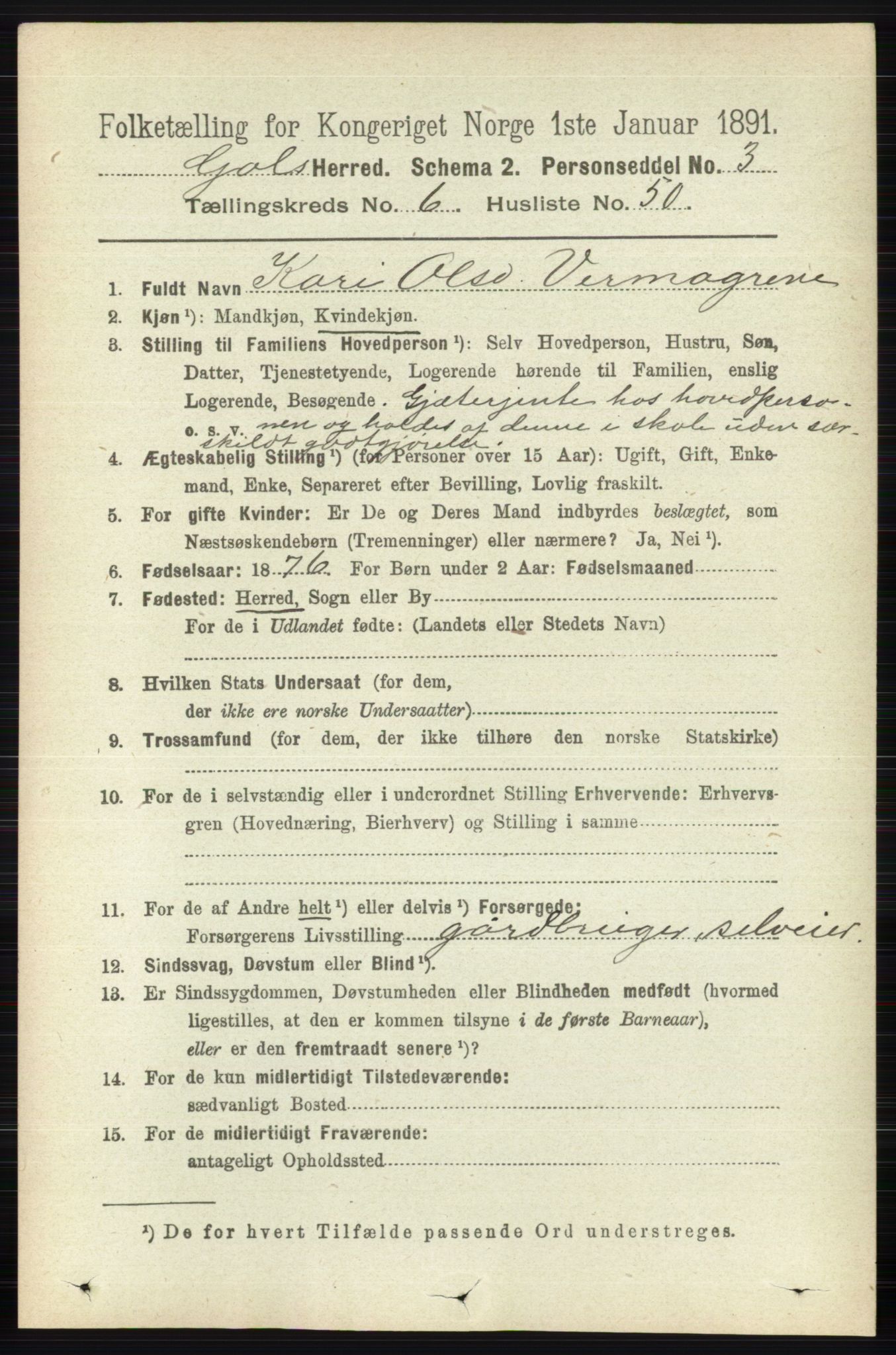 RA, 1891 census for 0617 Gol og Hemsedal, 1891, p. 2669