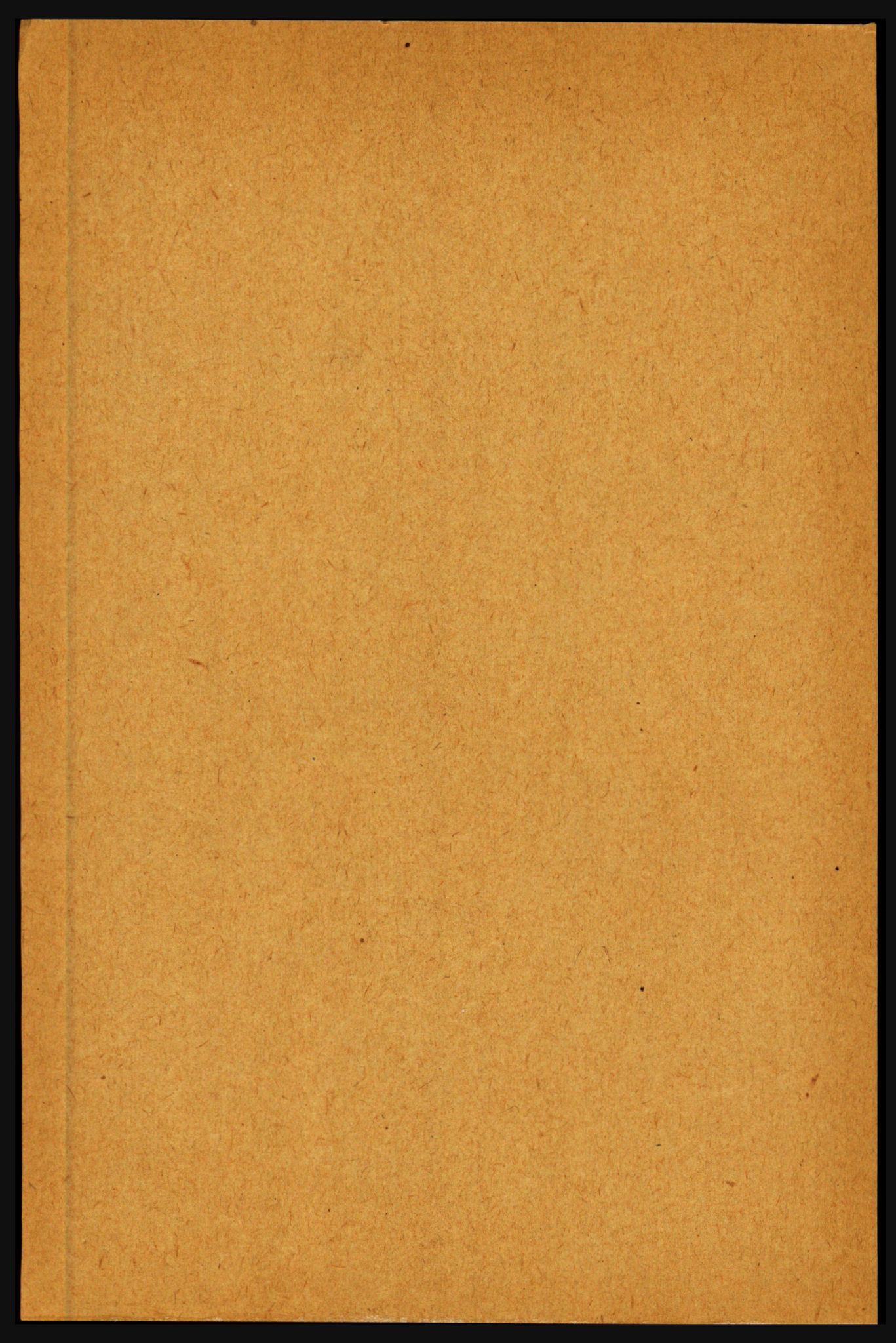RA, 1891 census for 1424 Årdal, 1891, p. 987