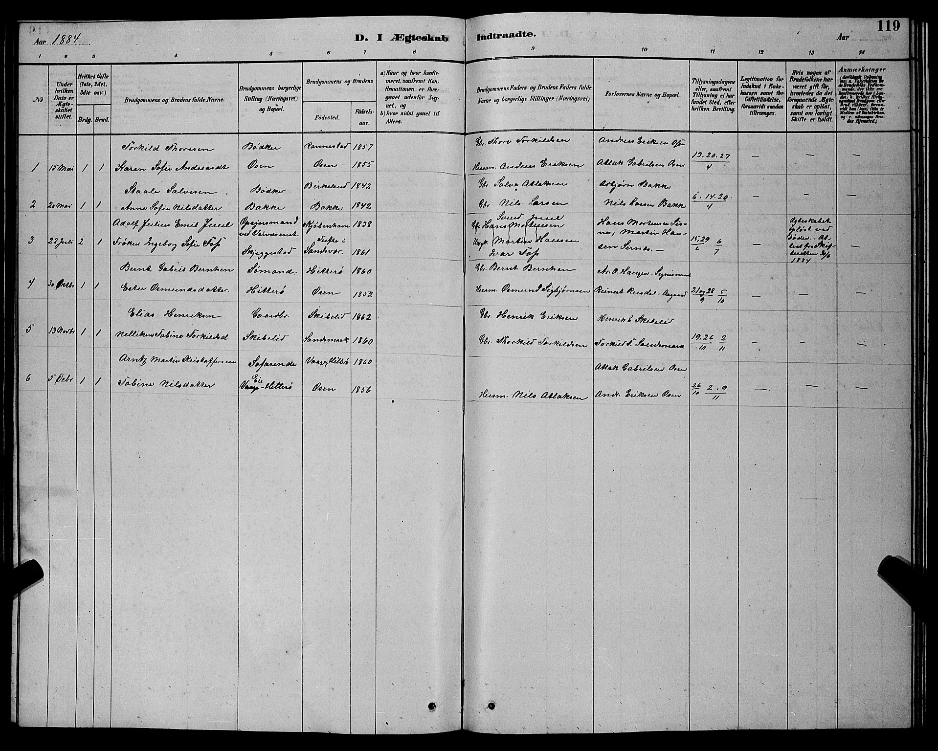 Bakke sokneprestkontor, SAK/1111-0002/F/Fb/Fba/L0002: Parish register (copy) no. B 2, 1879-1893, p. 119