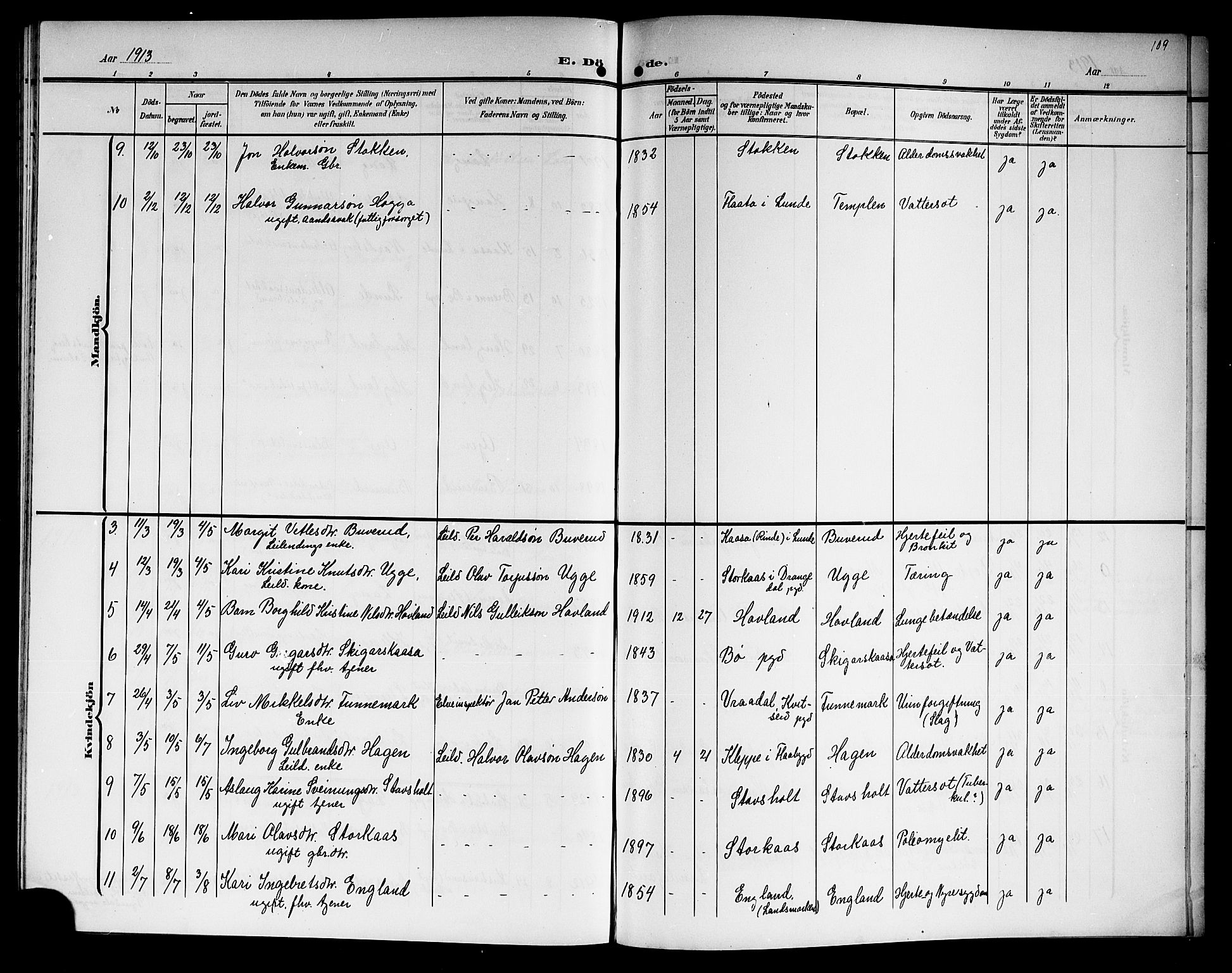 Lunde kirkebøker, SAKO/A-282/G/Ga/L0004: Parish register (copy) no. I 4, 1906-1914, p. 109