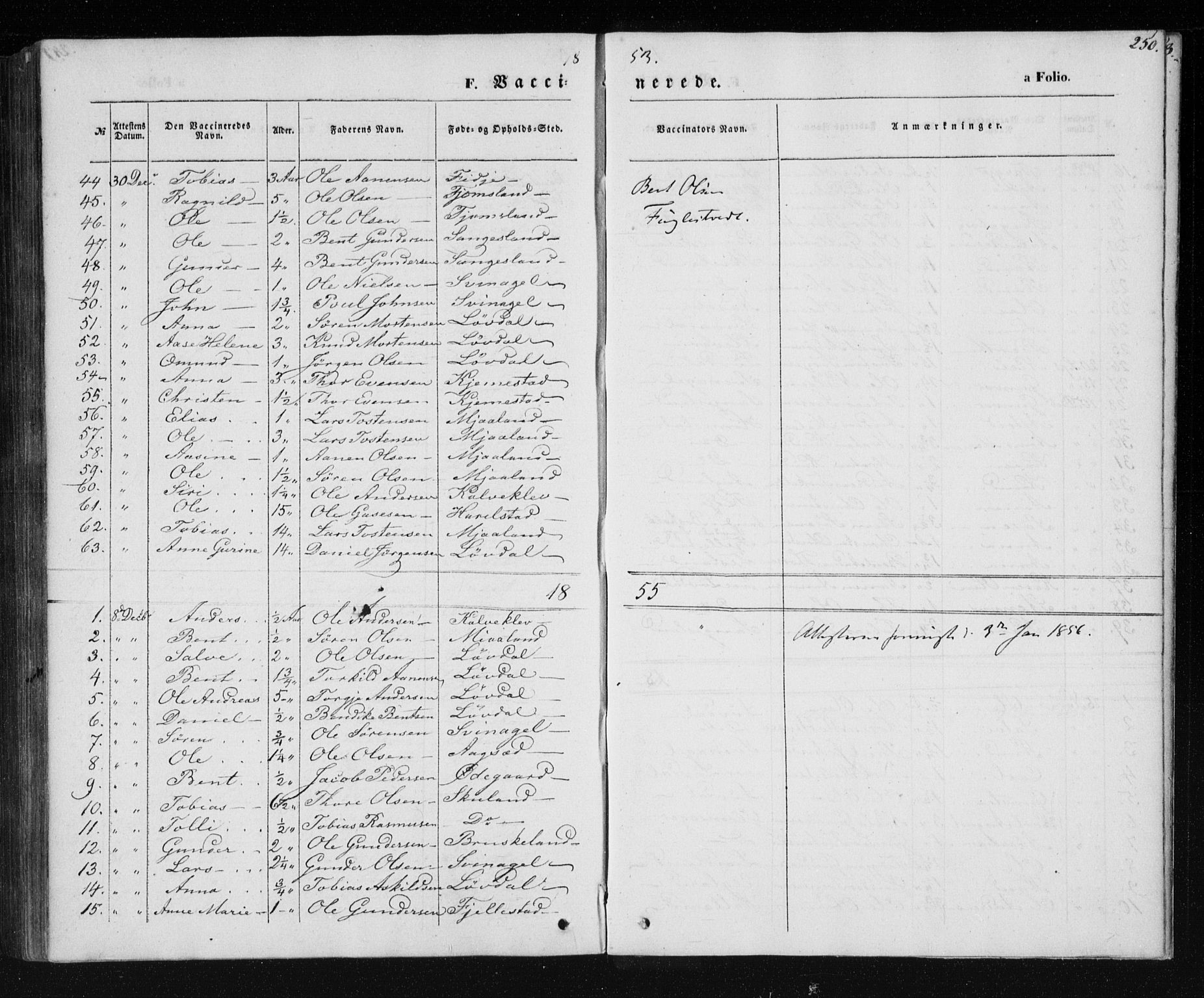 Holum sokneprestkontor, AV/SAK-1111-0022/F/Fa/Fab/L0005: Parish register (official) no. A 5, 1847-1874, p. 250