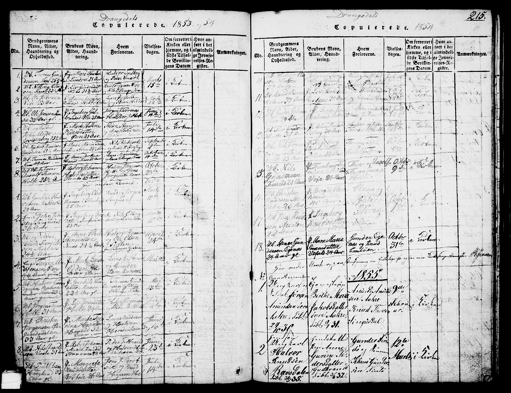 Drangedal kirkebøker, AV/SAKO-A-258/G/Ga/L0001: Parish register (copy) no. I 1 /1, 1814-1856, p. 215
