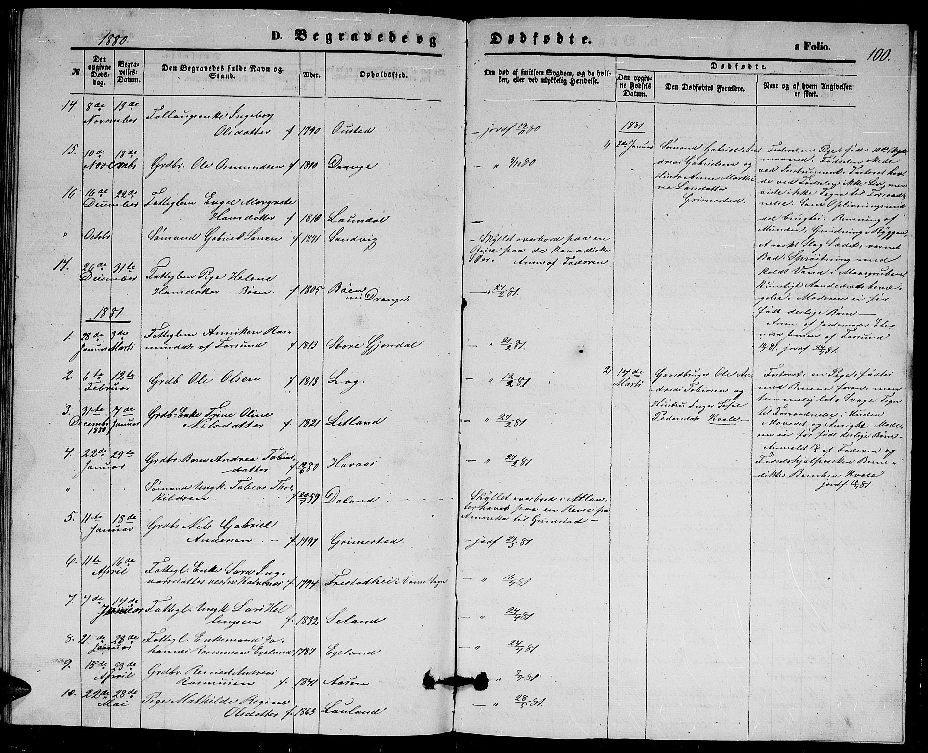 Herad sokneprestkontor, AV/SAK-1111-0018/F/Fb/Fba/L0003: Parish register (copy) no. B 3, 1863-1883, p. 100