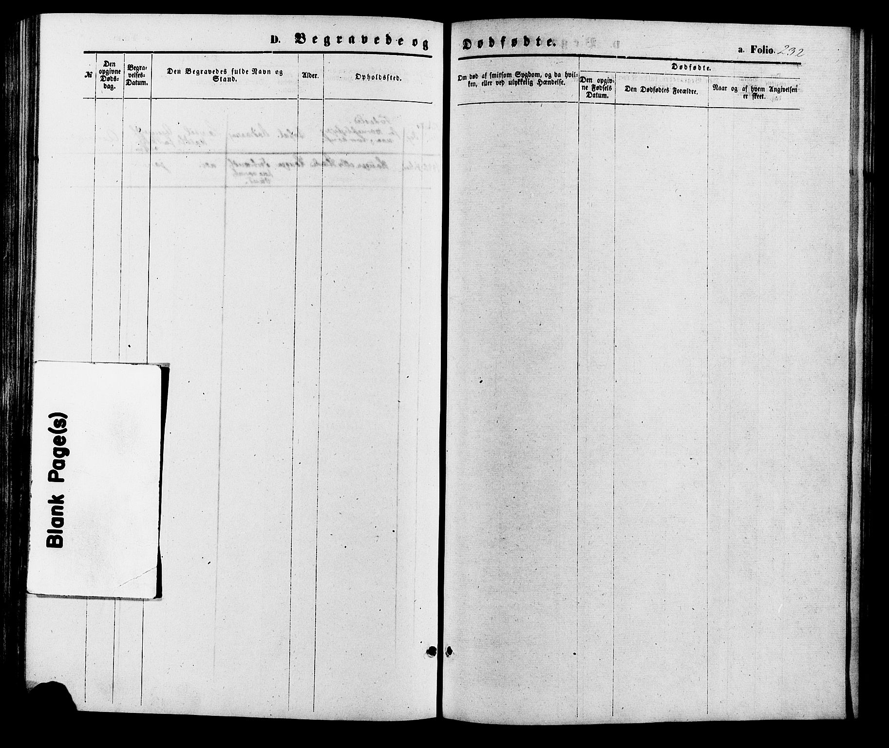Valle sokneprestkontor, SAK/1111-0044/F/Fa/Fac/L0008: Parish register (official) no. A 8, 1868-1882, p. 232