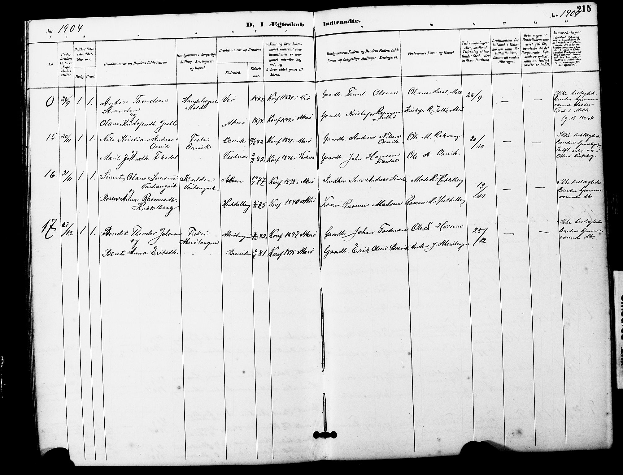 Ministerialprotokoller, klokkerbøker og fødselsregistre - Møre og Romsdal, AV/SAT-A-1454/560/L0725: Parish register (copy) no. 560C02, 1895-1930, p. 215