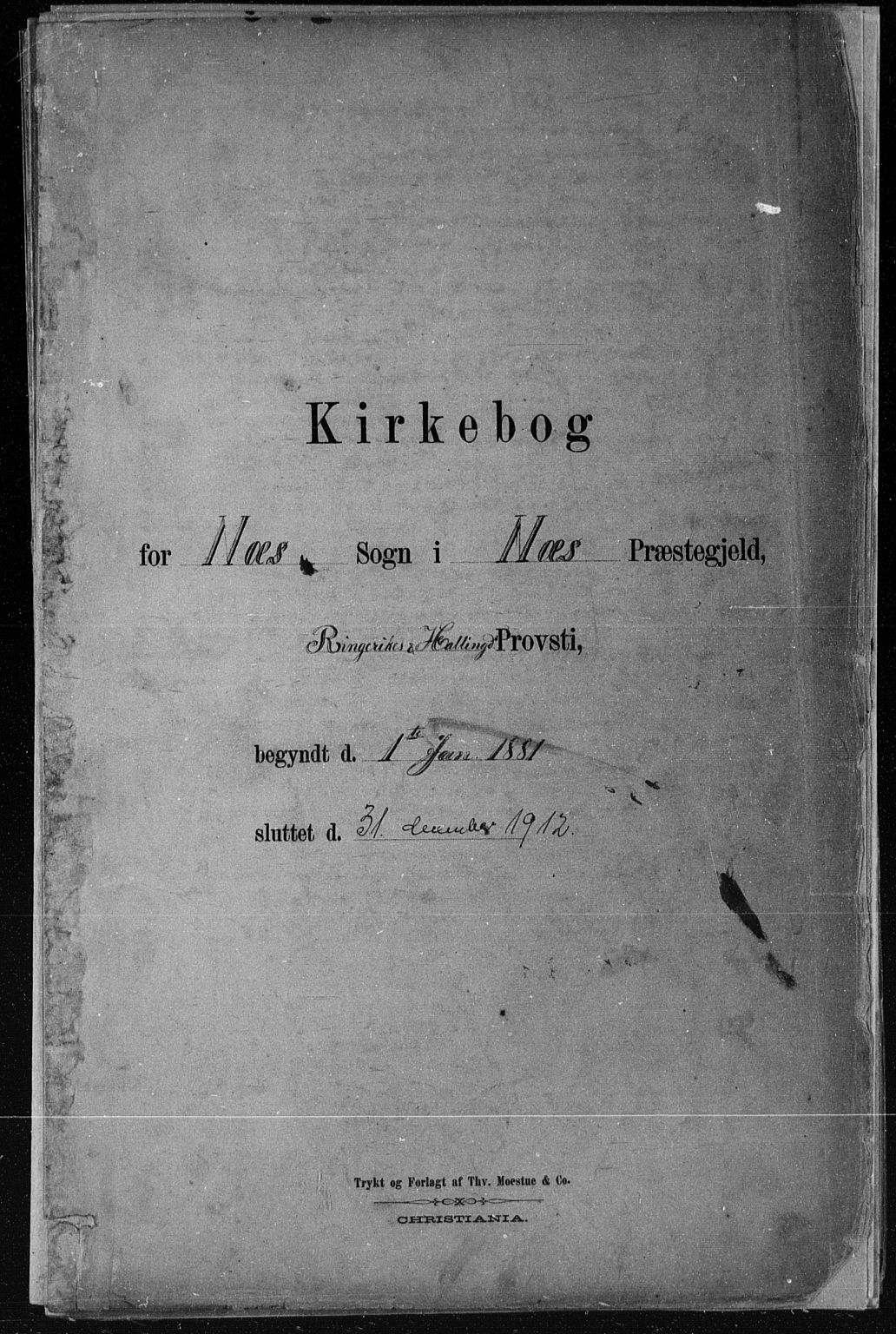 Nes kirkebøker, SAKO/A-236/F/Fa/L0011: Parish register (official) no. 11, 1881-1912