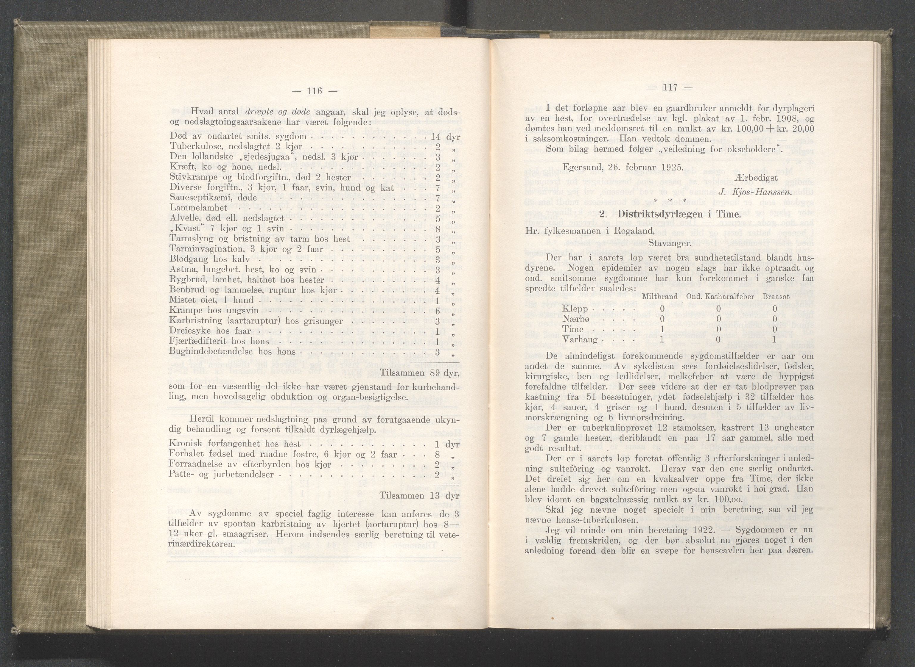 Rogaland fylkeskommune - Fylkesrådmannen , IKAR/A-900/A/Aa/Aaa/L0044: Møtebok , 1925, p. 116-117