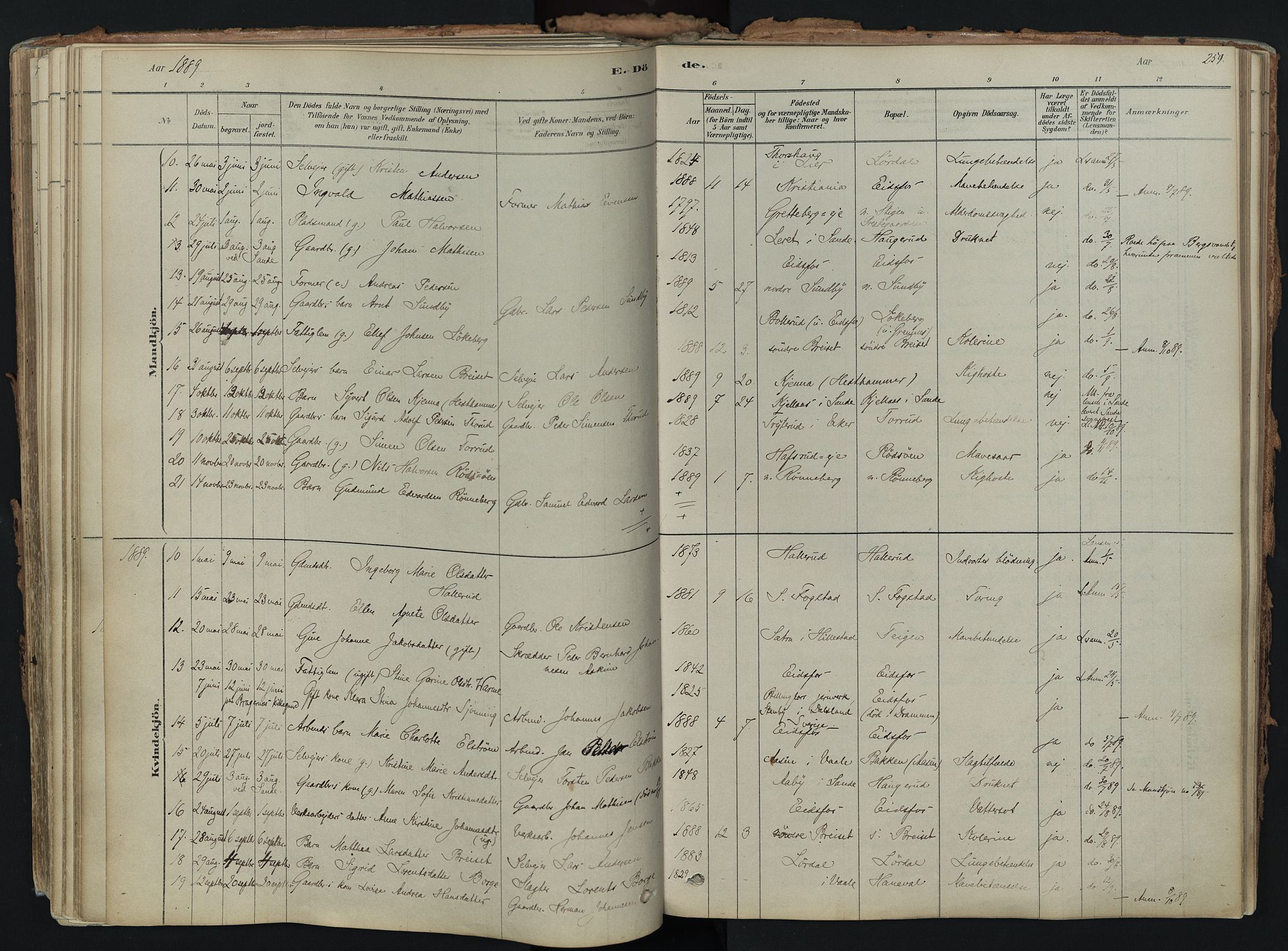 Hof kirkebøker, AV/SAKO-A-64/F/Fa/L0007: Parish register (official) no. I 7, 1878-1940, p. 259