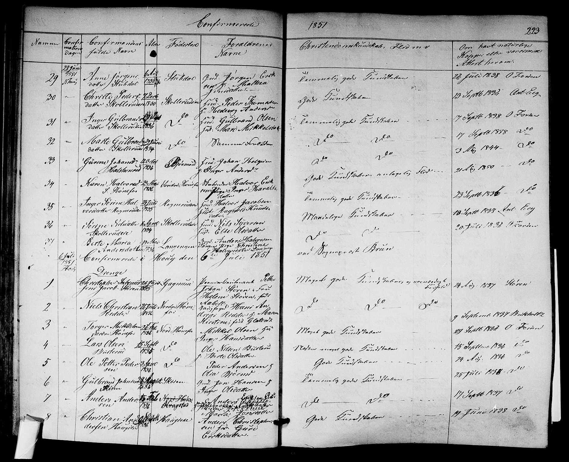Norderhov kirkebøker, SAKO/A-237/F/Fa/L0011: Parish register (official) no. 11, 1847-1856, p. 223