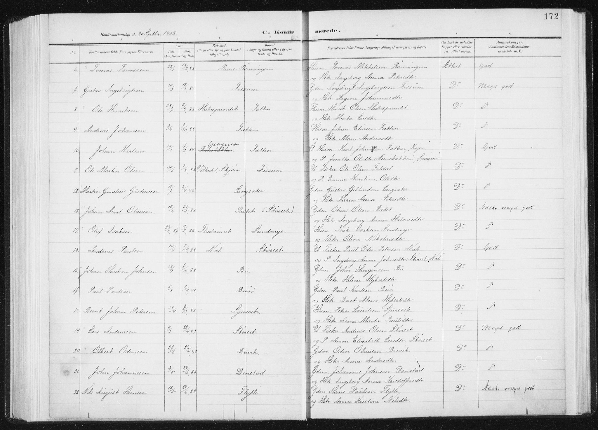 Ministerialprotokoller, klokkerbøker og fødselsregistre - Sør-Trøndelag, AV/SAT-A-1456/647/L0635: Parish register (official) no. 647A02, 1896-1911, p. 172