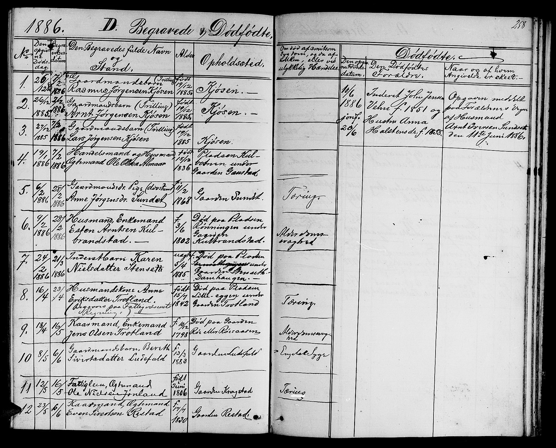 Ministerialprotokoller, klokkerbøker og fødselsregistre - Sør-Trøndelag, AV/SAT-A-1456/694/L1131: Parish register (copy) no. 694C03, 1858-1886, p. 258