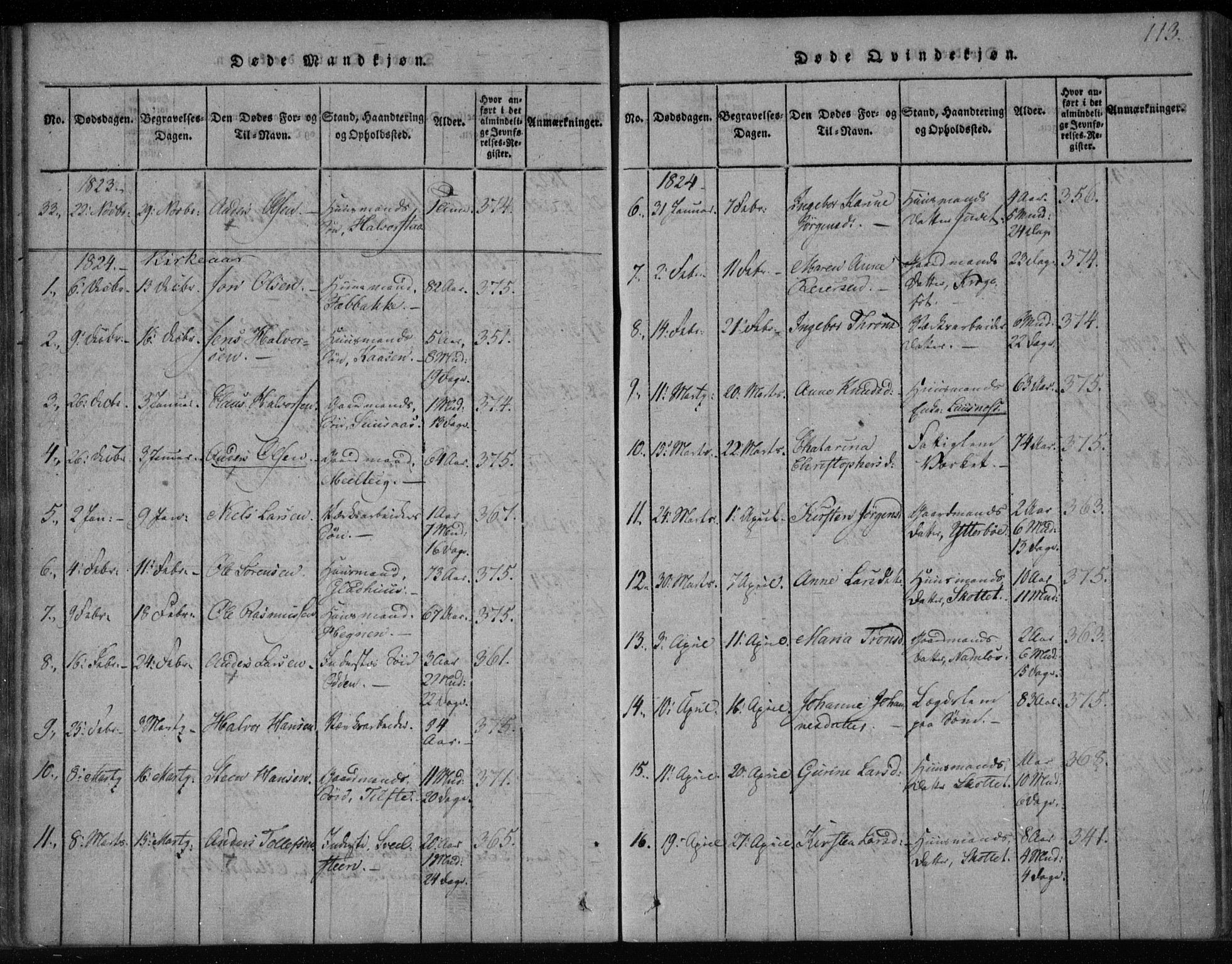 Holla kirkebøker, SAKO/A-272/F/Fa/L0003: Parish register (official) no. 3, 1815-1830, p. 113