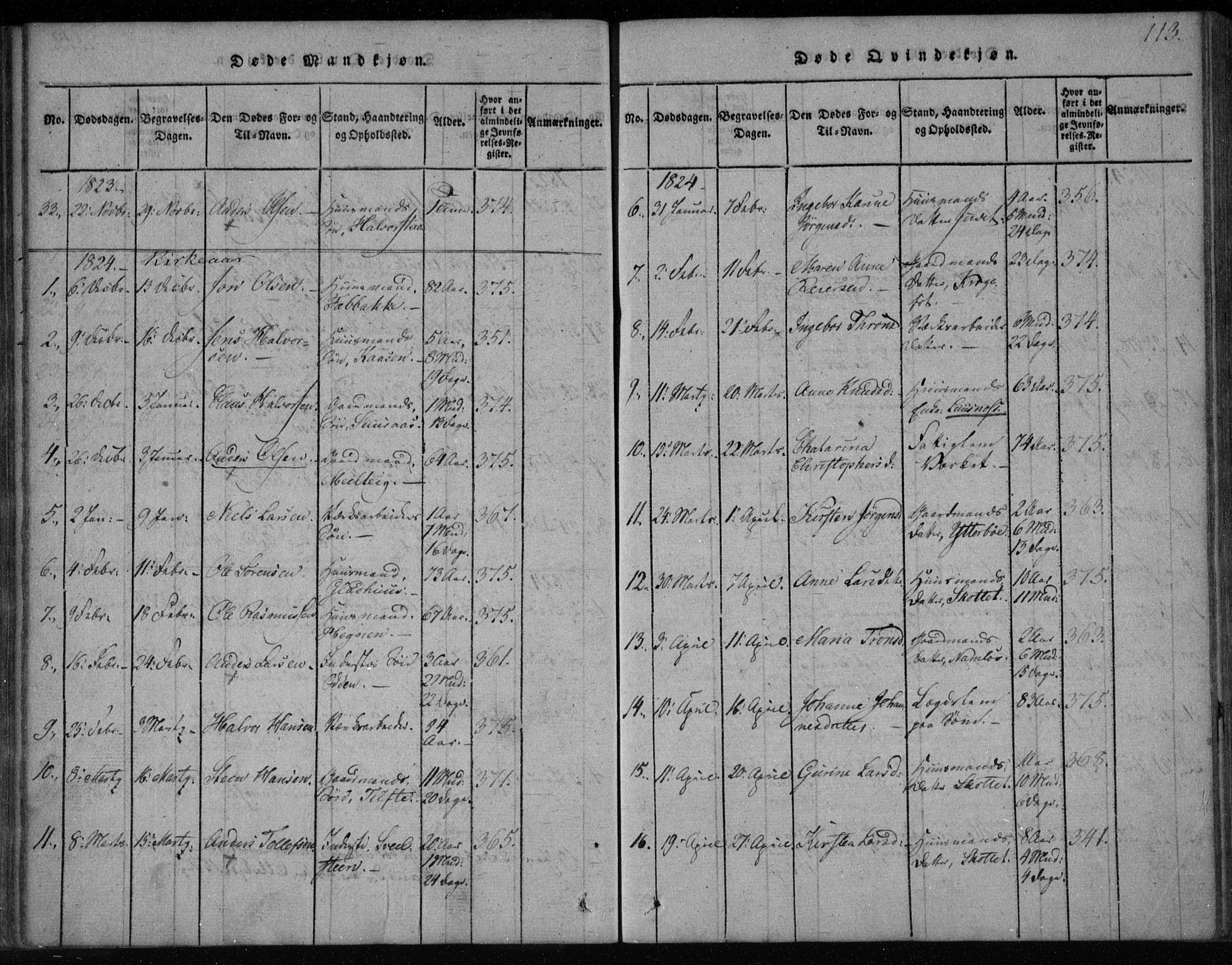 Holla kirkebøker, AV/SAKO-A-272/F/Fa/L0003: Parish register (official) no. 3, 1815-1830, p. 113