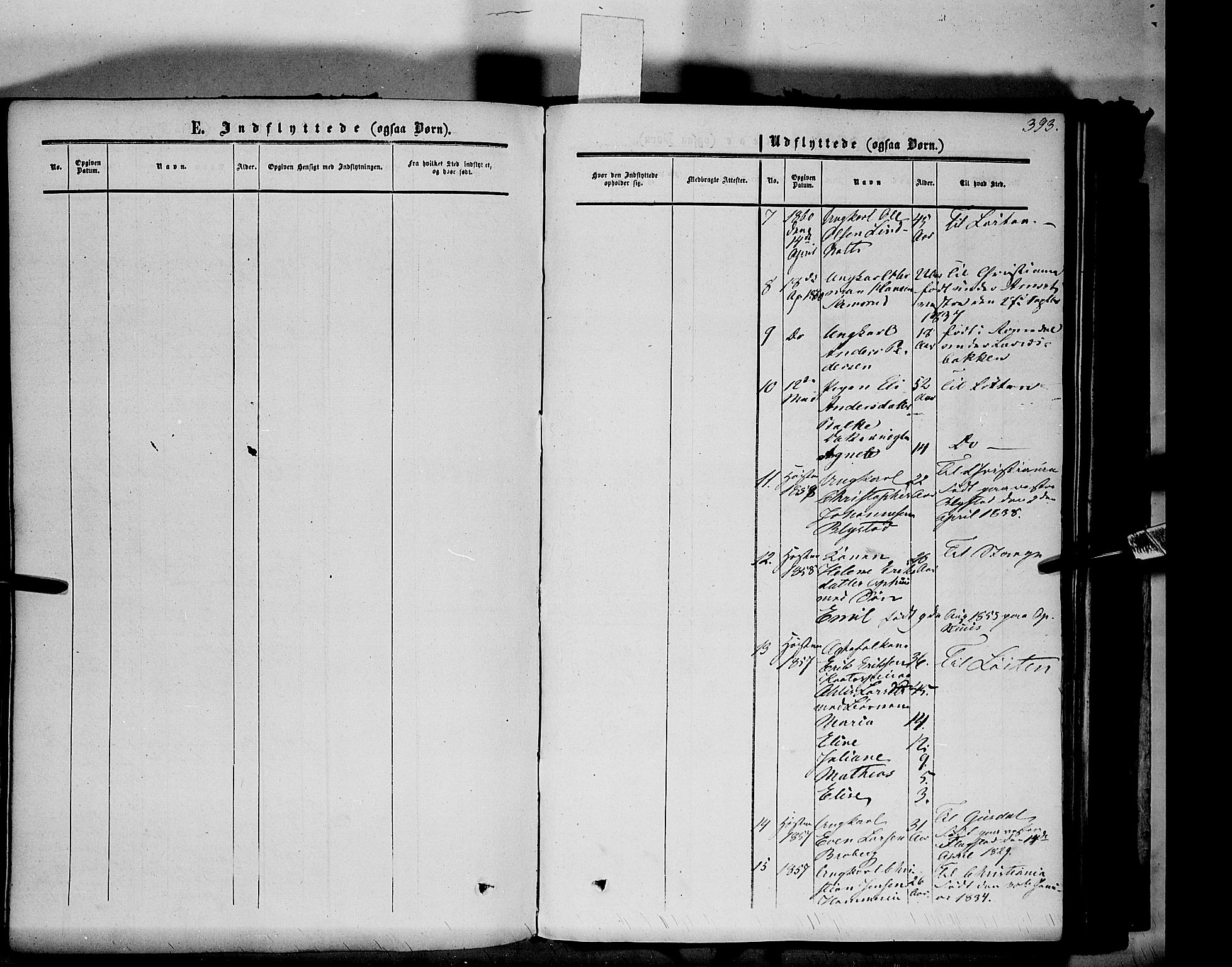 Vang prestekontor, Hedmark, AV/SAH-PREST-008/H/Ha/Haa/L0012: Parish register (official) no. 12, 1855-1870, p. 393