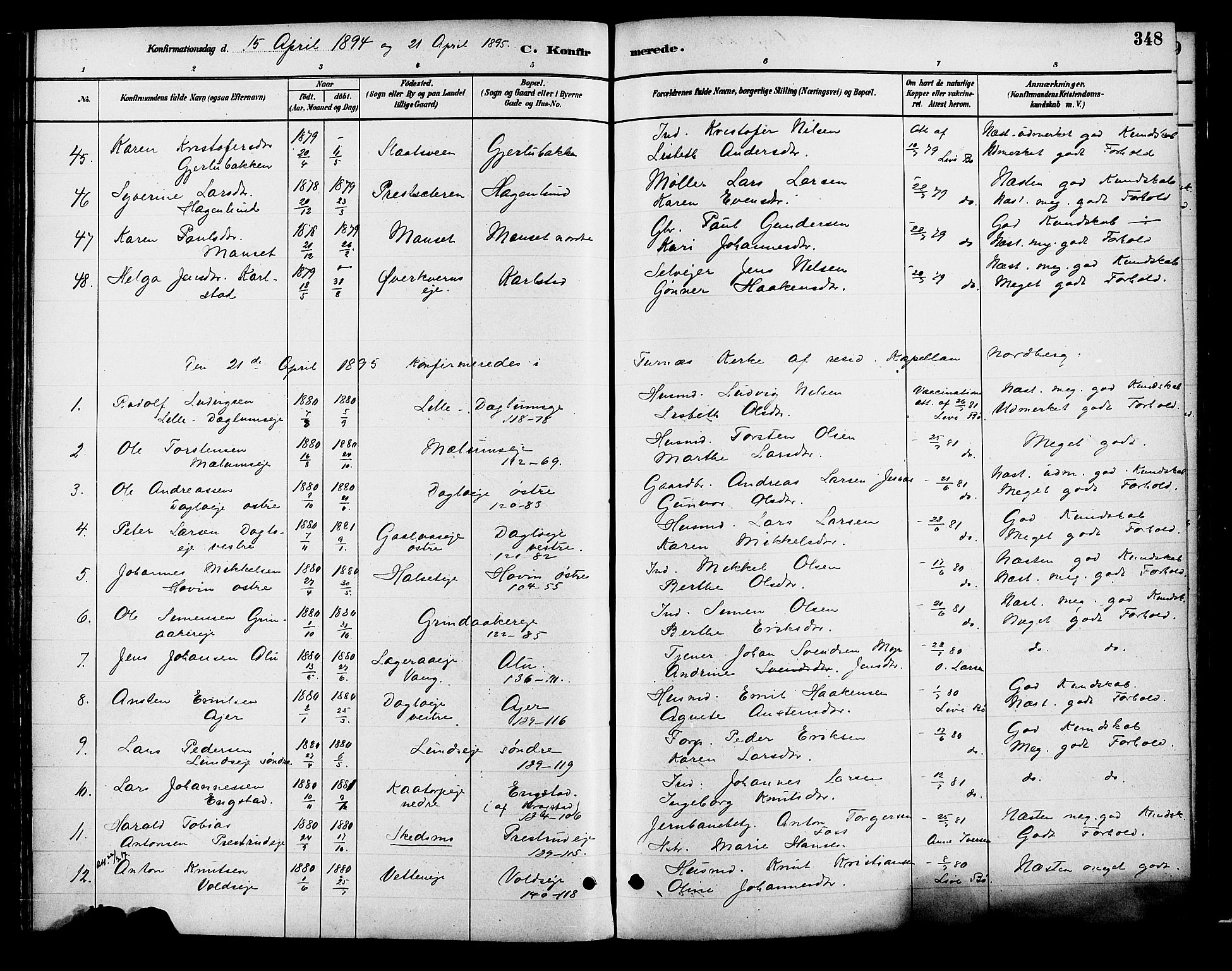 Vang prestekontor, Hedmark, SAH/PREST-008/H/Ha/Haa/L0018B: Parish register (official) no. 18B, 1880-1906, p. 348