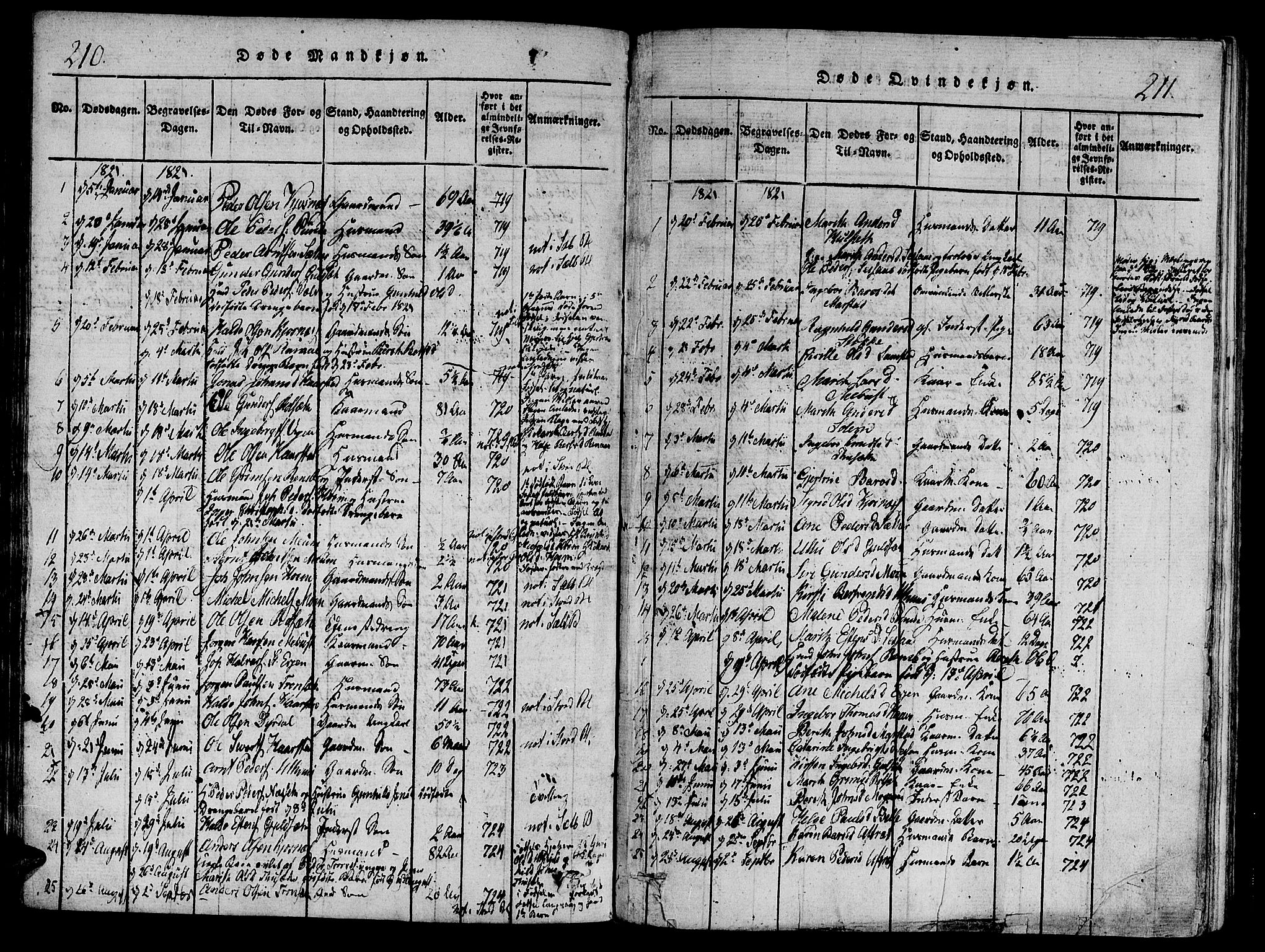 Ministerialprotokoller, klokkerbøker og fødselsregistre - Sør-Trøndelag, SAT/A-1456/695/L1141: Parish register (official) no. 695A04 /1, 1816-1824, p. 210-211