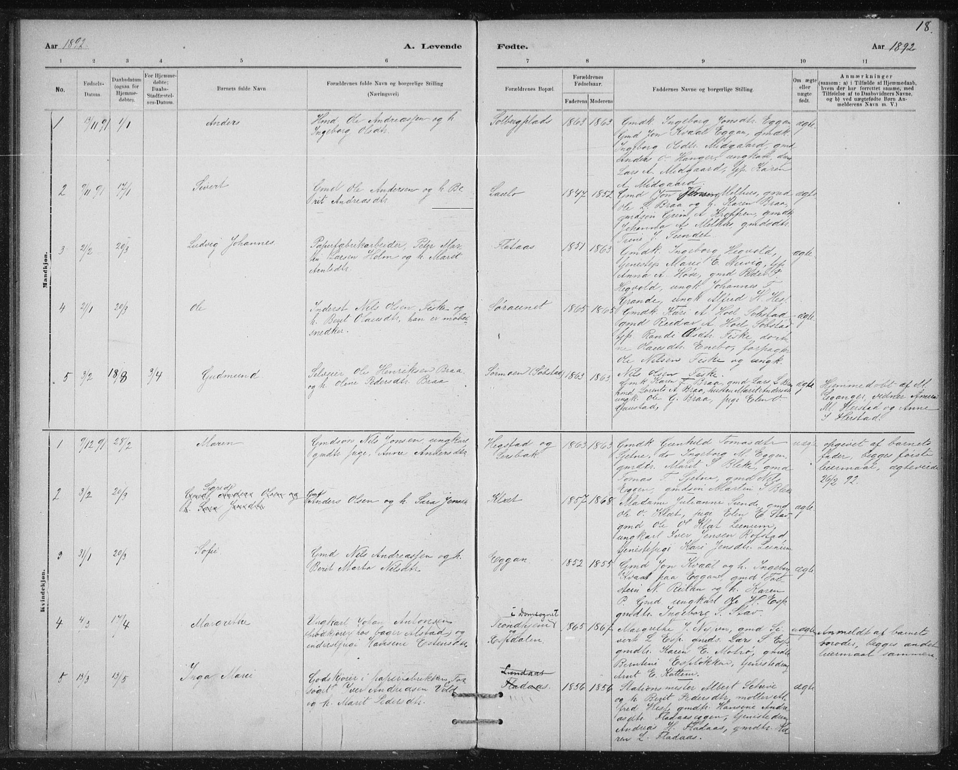 Ministerialprotokoller, klokkerbøker og fødselsregistre - Sør-Trøndelag, AV/SAT-A-1456/613/L0392: Parish register (official) no. 613A01, 1887-1906, p. 18