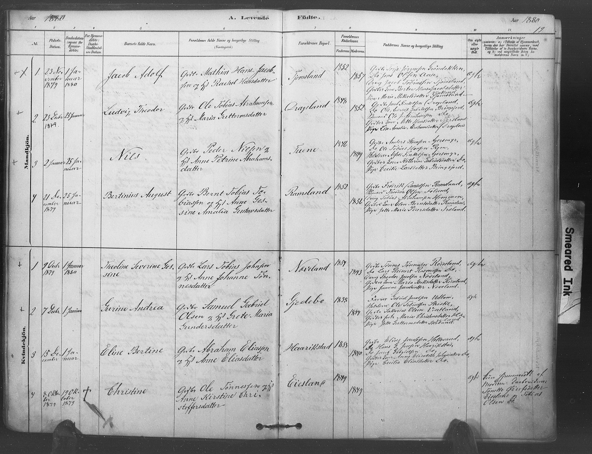 Lyngdal sokneprestkontor, AV/SAK-1111-0029/F/Fa/Fac/L0011: Parish register (official) no. A 11, 1878-1893, p. 19