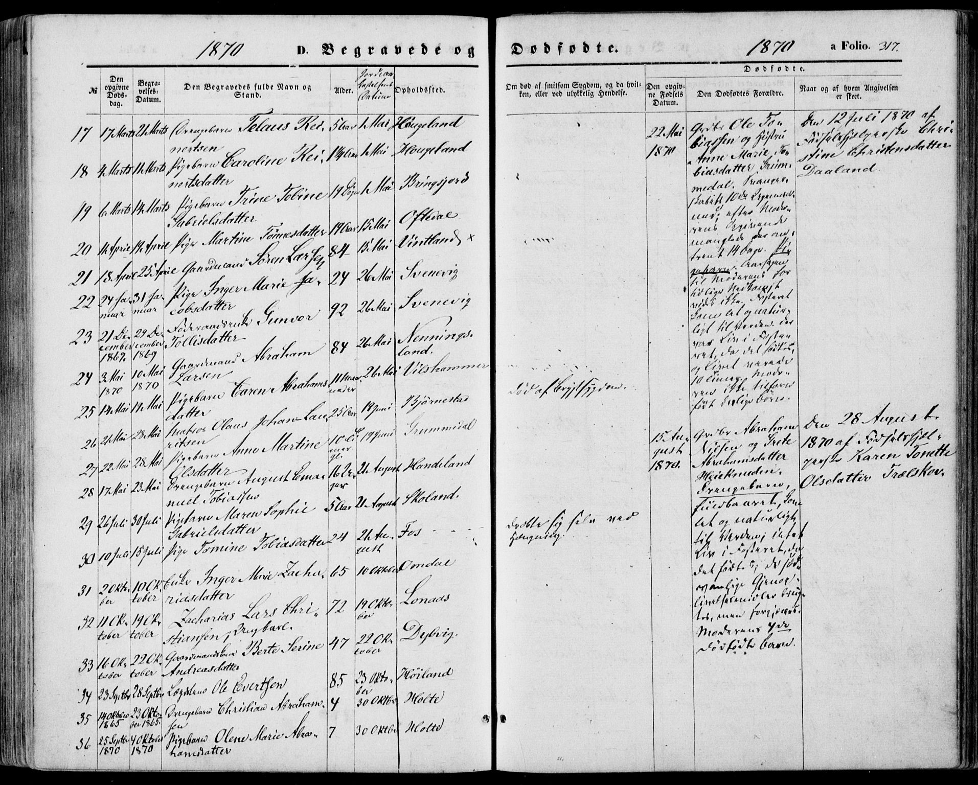 Lyngdal sokneprestkontor, SAK/1111-0029/F/Fa/Fac/L0010: Parish register (official) no. A 10, 1865-1878, p. 317