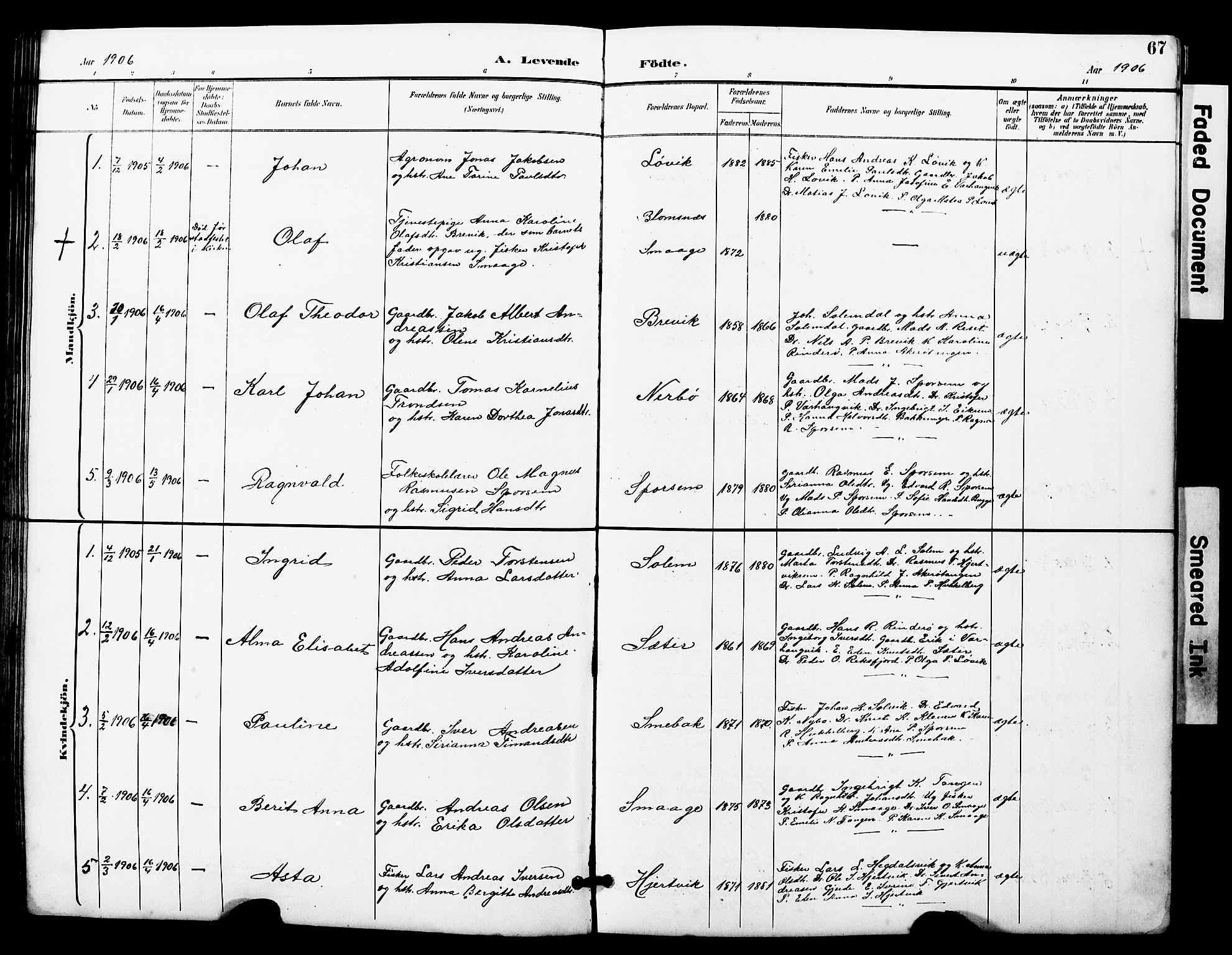 Ministerialprotokoller, klokkerbøker og fødselsregistre - Møre og Romsdal, SAT/A-1454/560/L0725: Parish register (copy) no. 560C02, 1895-1930, p. 67