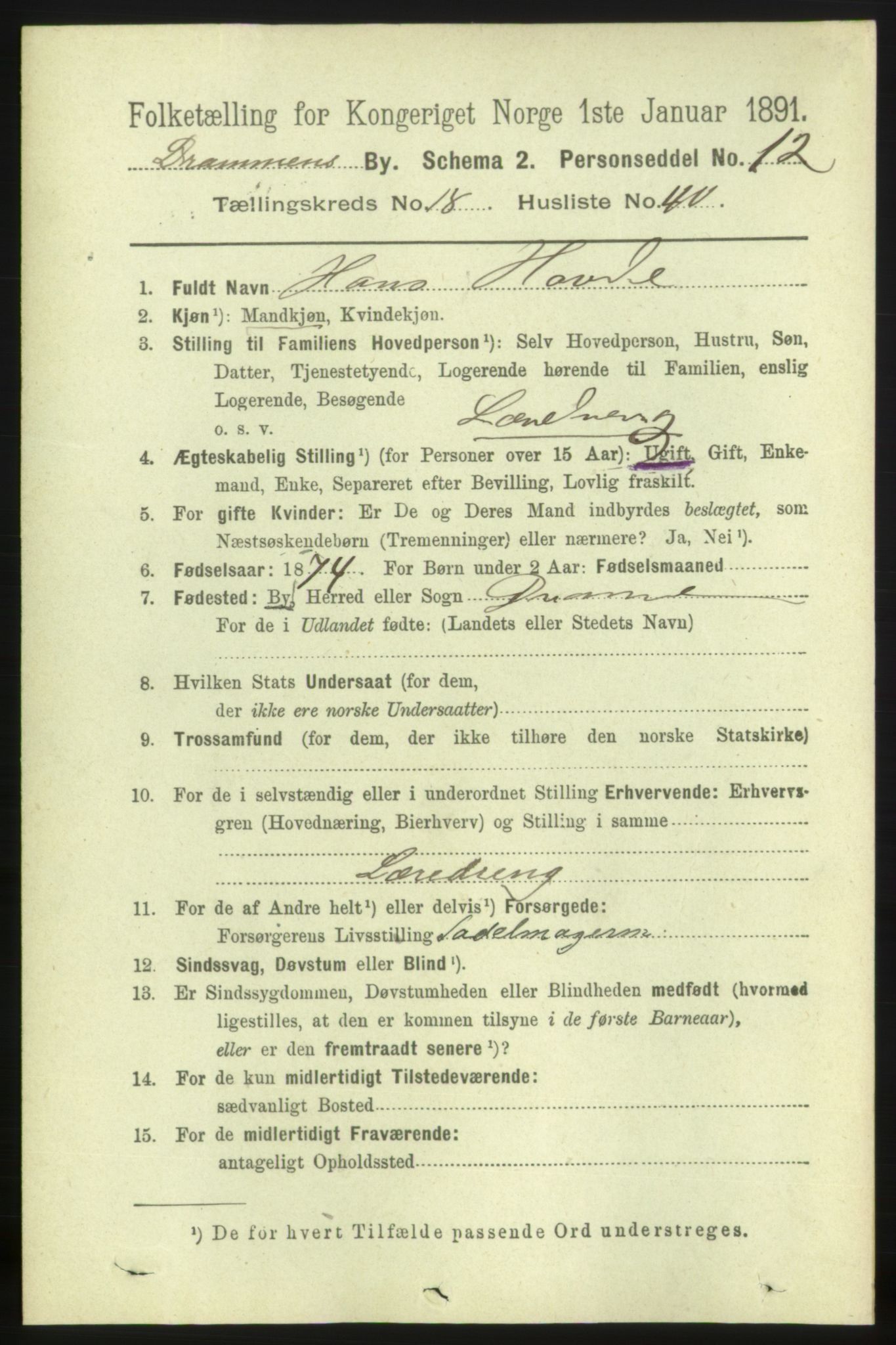 RA, 1891 census for 0602 Drammen, 1891, p. 11991