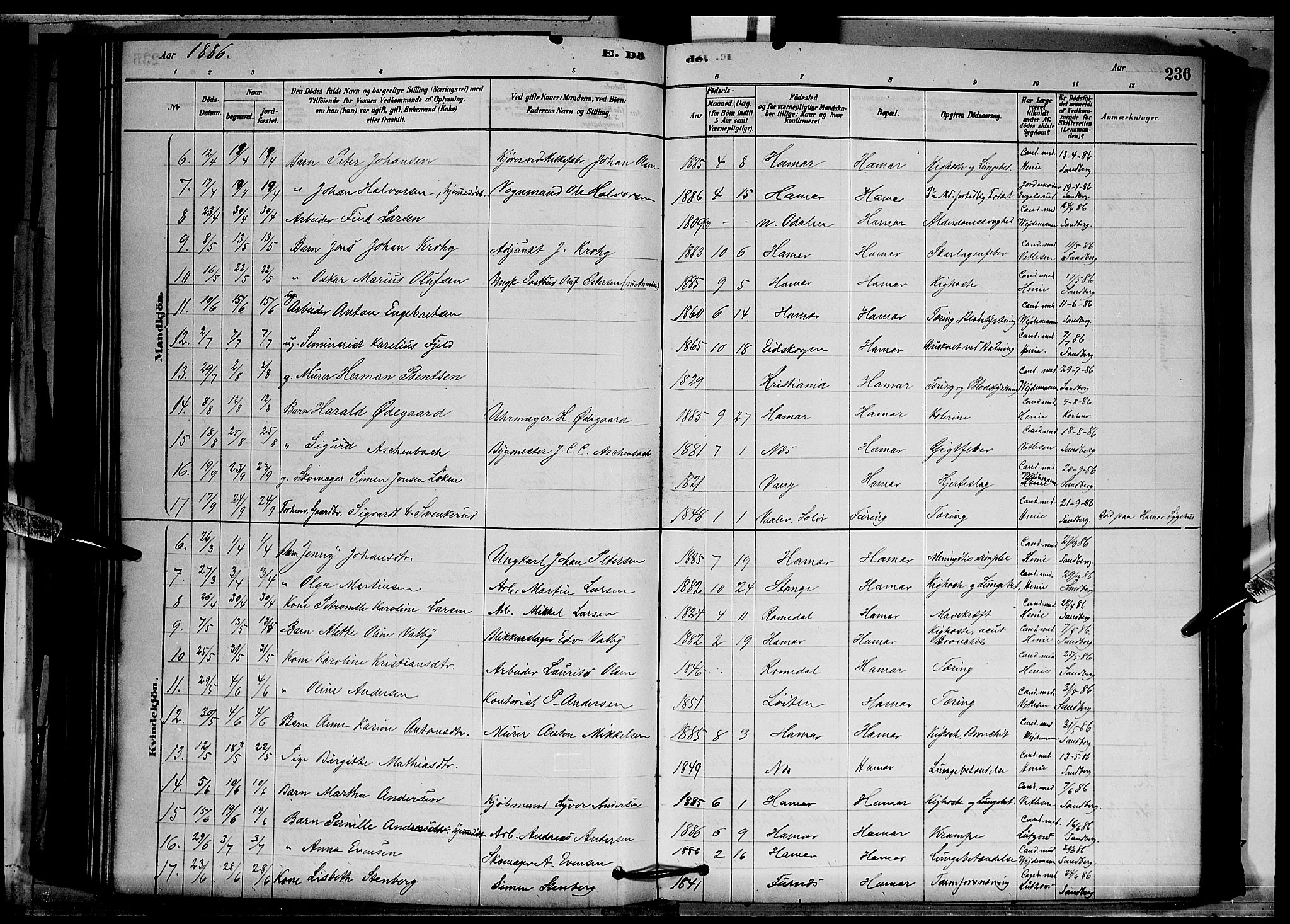 Vang prestekontor, Hedmark, SAH/PREST-008/H/Ha/Hab/L0012: Parish register (copy) no. 12, 1878-1889, p. 236