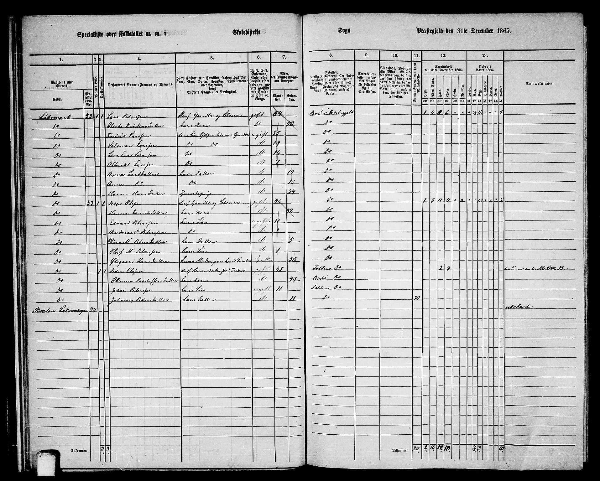 RA, 1865 census for Bodø/Bodø, 1865, p. 22