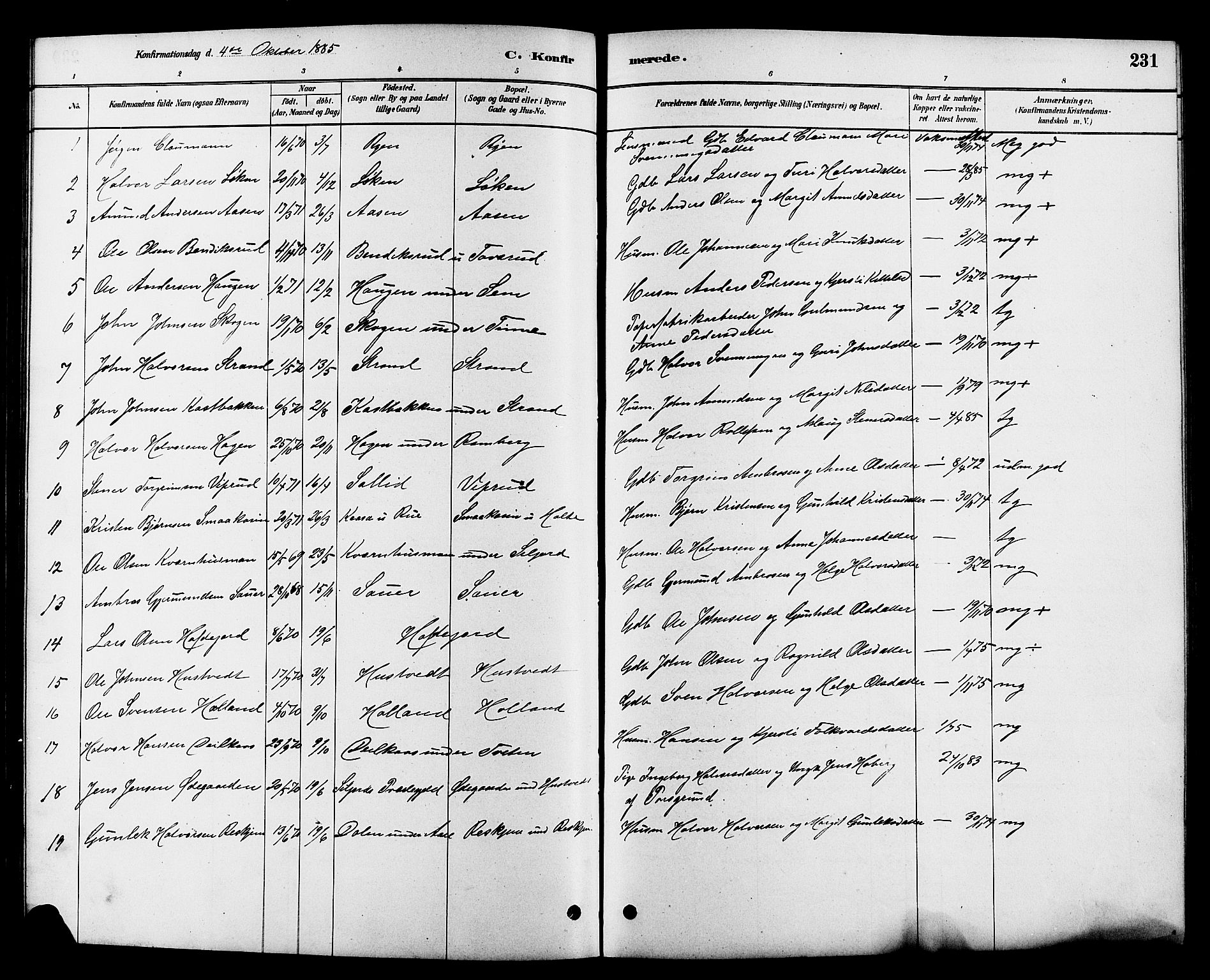 Heddal kirkebøker, SAKO/A-268/G/Ga/L0002: Parish register (copy) no. I 2, 1879-1908, p. 231
