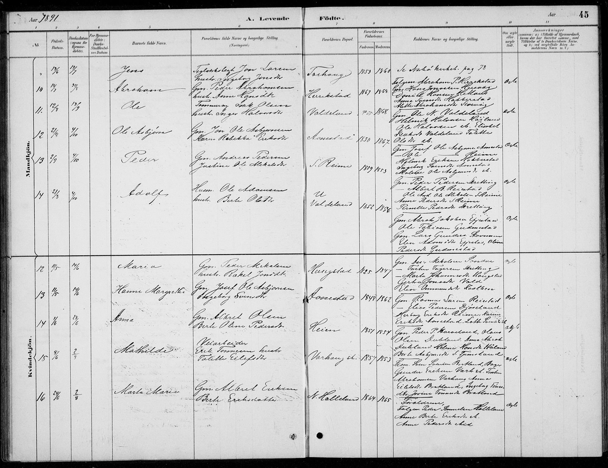 Hå sokneprestkontor, AV/SAST-A-101801/001/30BB/L0004: Parish register (copy) no. B 4, 1883-1899, p. 45