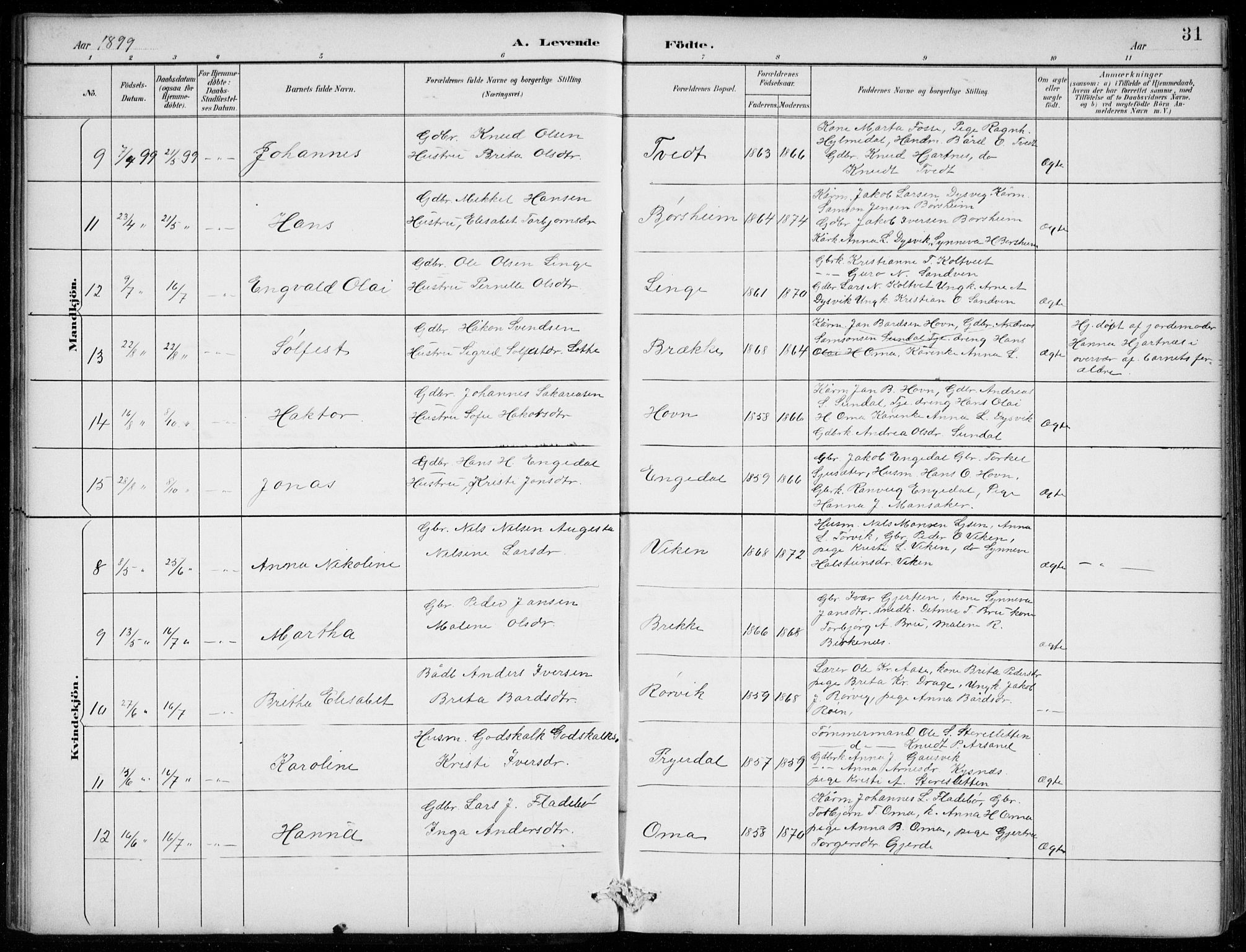 Strandebarm sokneprestembete, AV/SAB-A-78401/H/Hab: Parish register (copy) no. B  1, 1891-1914, p. 31