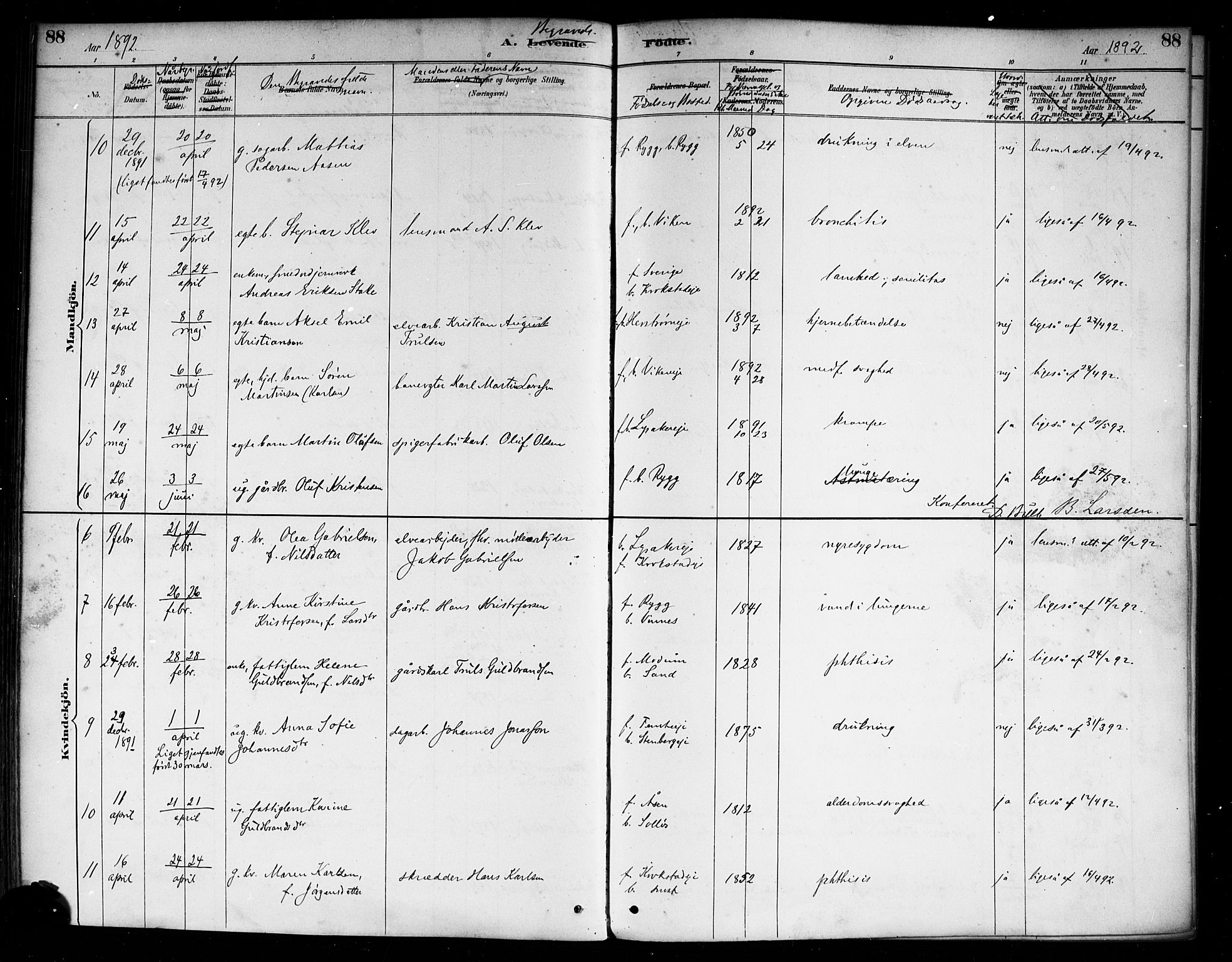 Nedre Eiker kirkebøker, AV/SAKO-A-612/F/Fa/L0003: Parish register (official) no. 3, 1885-1892, p. 88