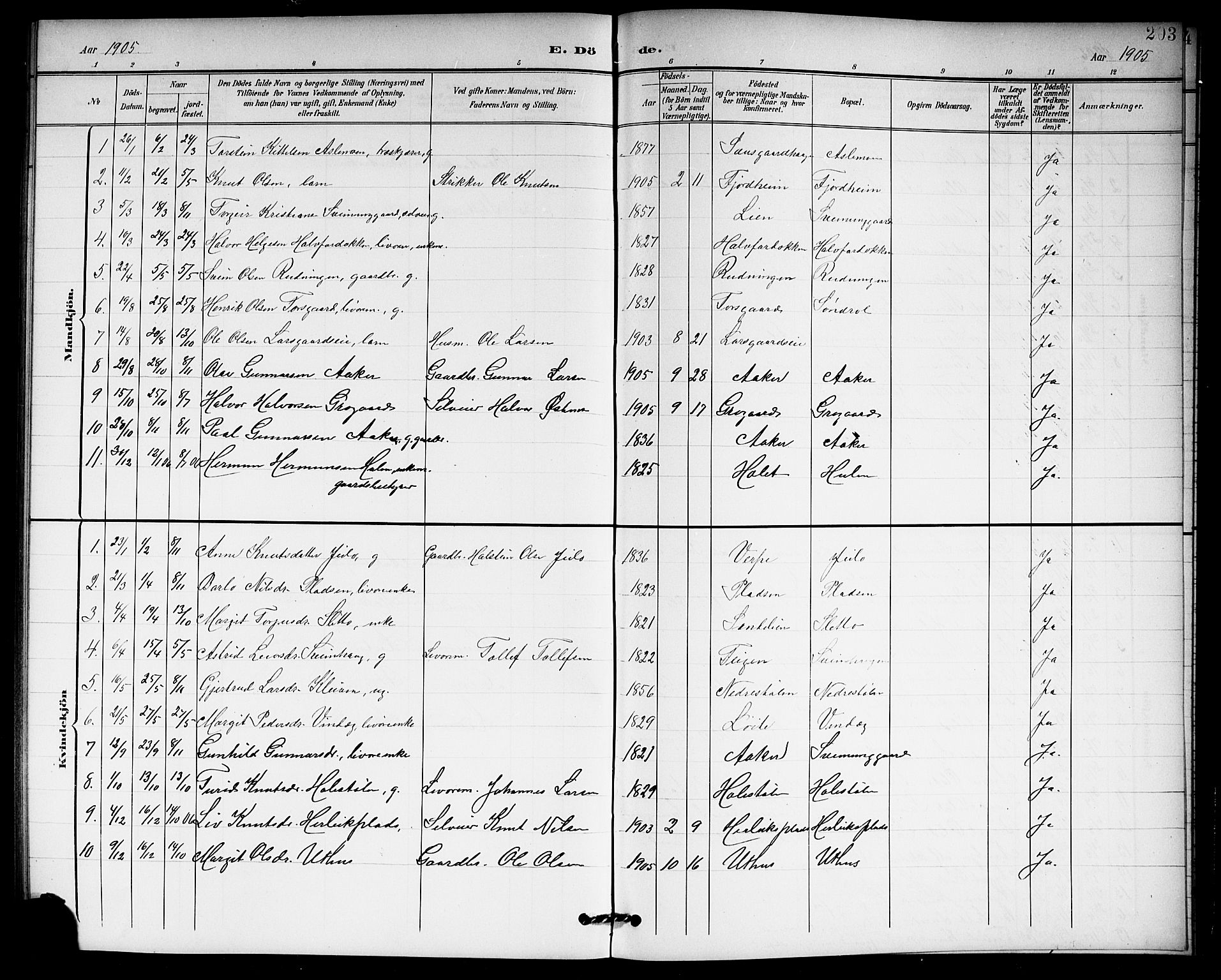 Hol kirkebøker, SAKO/A-227/G/Ga/L0001: Parish register (copy) no. I 1, 1900-1919, p. 203