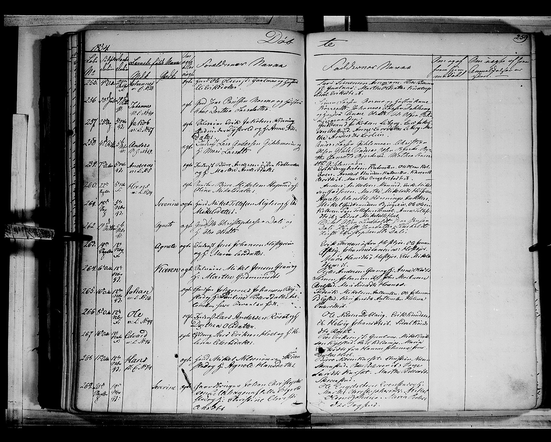 Vang prestekontor, Hedmark, AV/SAH-PREST-008/H/Ha/Haa/L0010: Parish register (official) no. 10, 1841-1855, p. 259