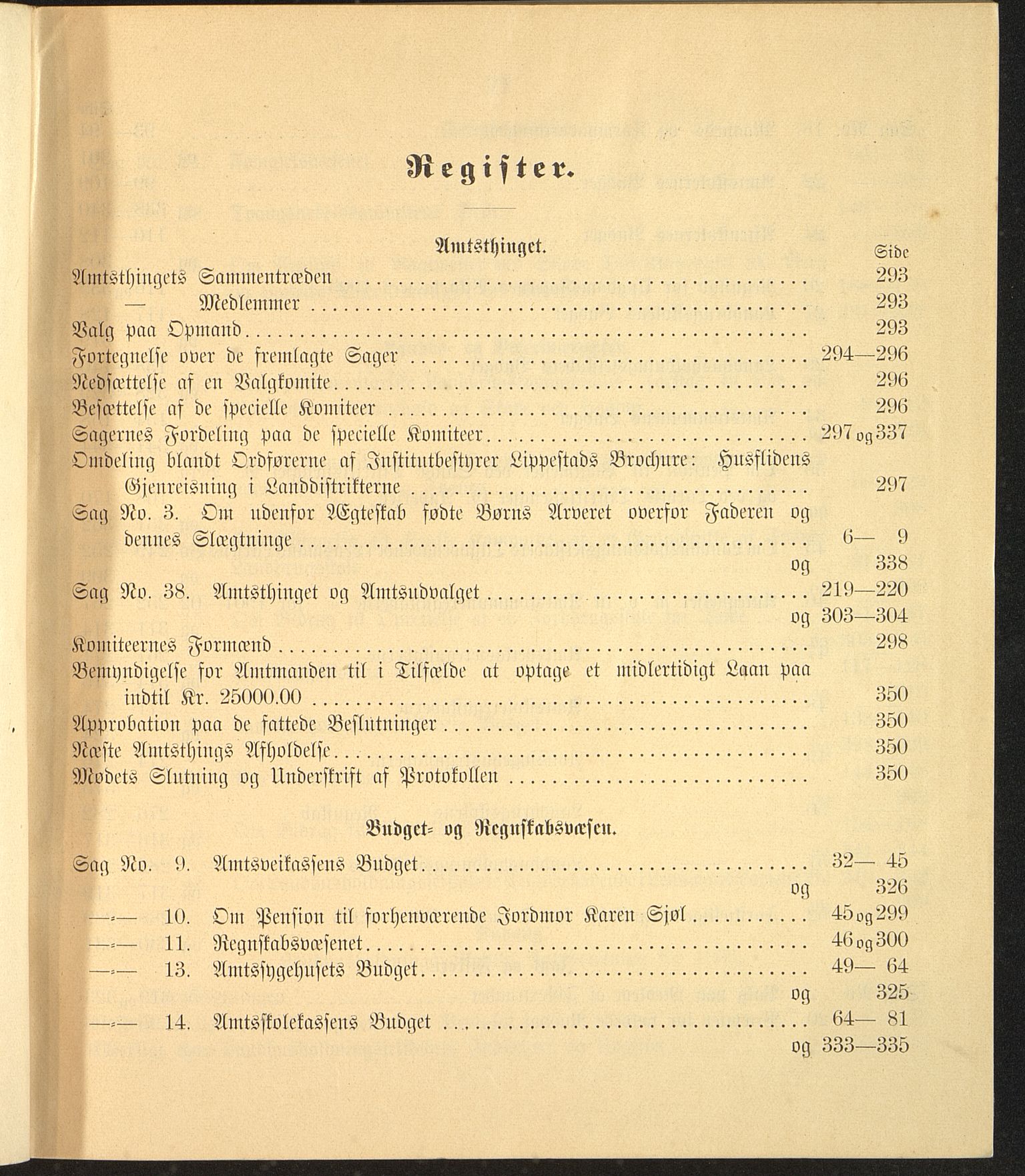 Vestfold fylkeskommune. Fylkestinget, VEMU/A-1315/A/Ab/Abb/L0051: Fylkestingsforhandlinger, 1904