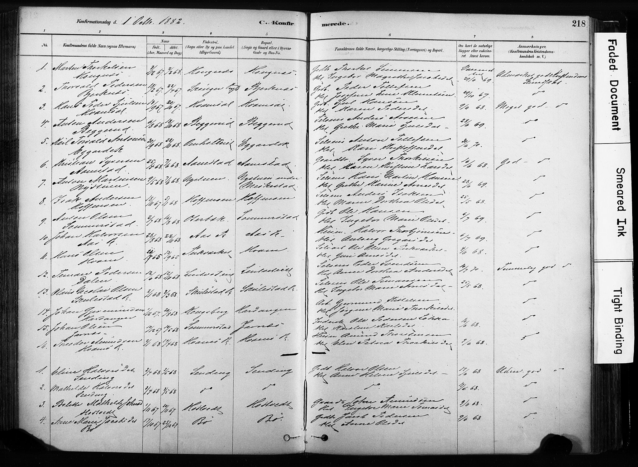 Sandsvær kirkebøker, AV/SAKO-A-244/F/Fb/L0001: Parish register (official) no. II 1, 1878-1906, p. 218