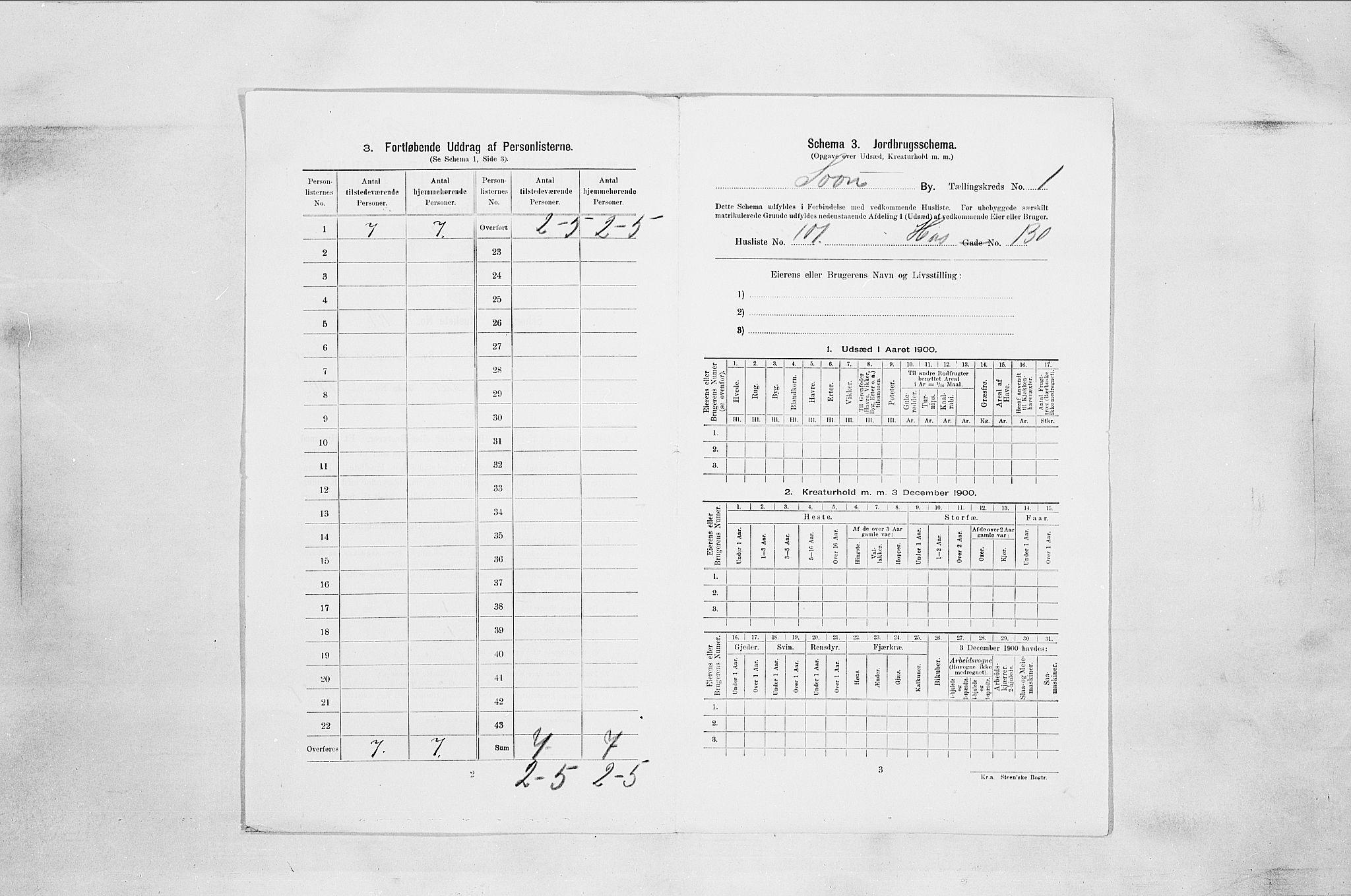 SAO, 1900 census for Son, 1900