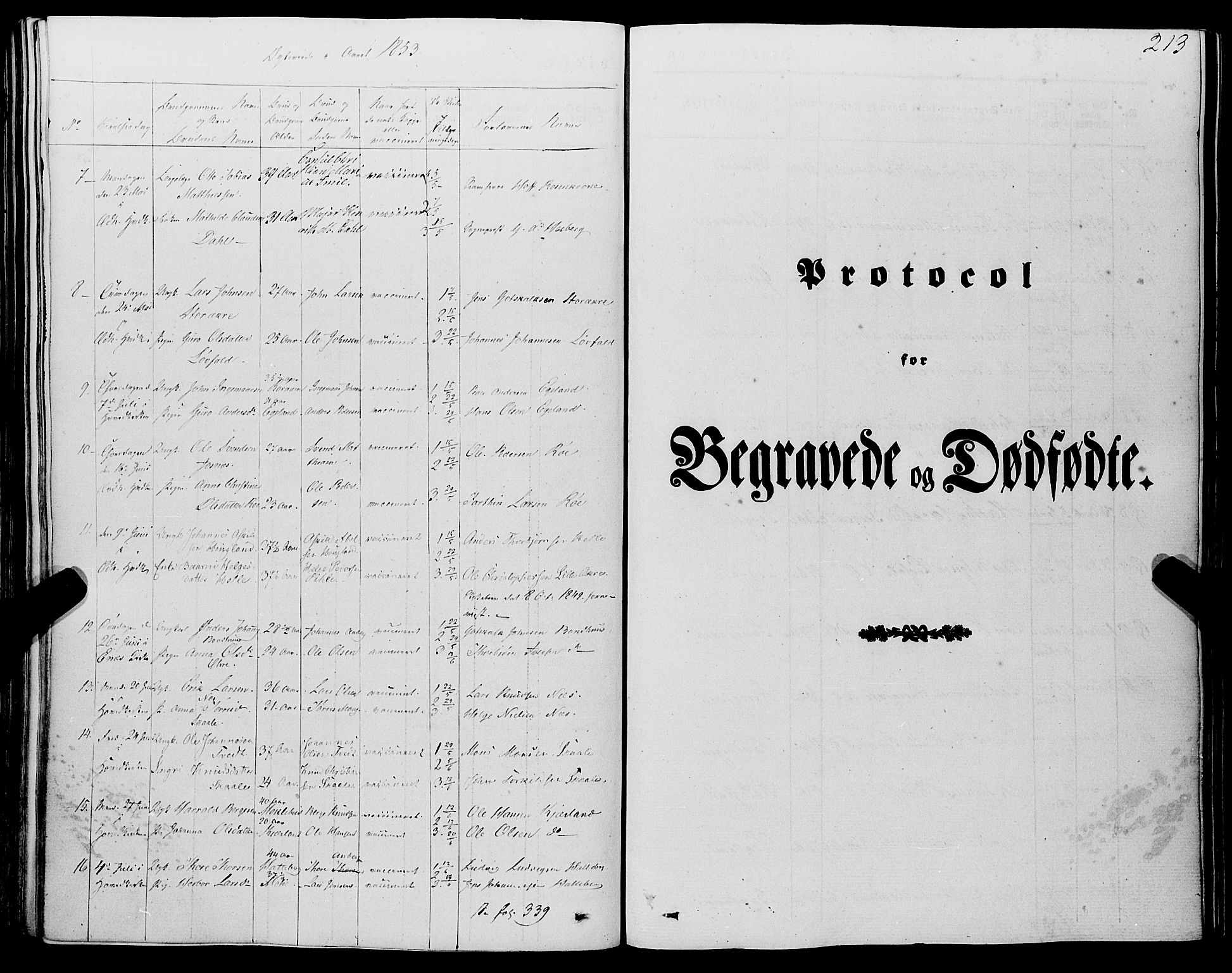 Kvinnherad sokneprestembete, SAB/A-76401/H/Haa: Parish register (official) no. A 7, 1843-1853, p. 213