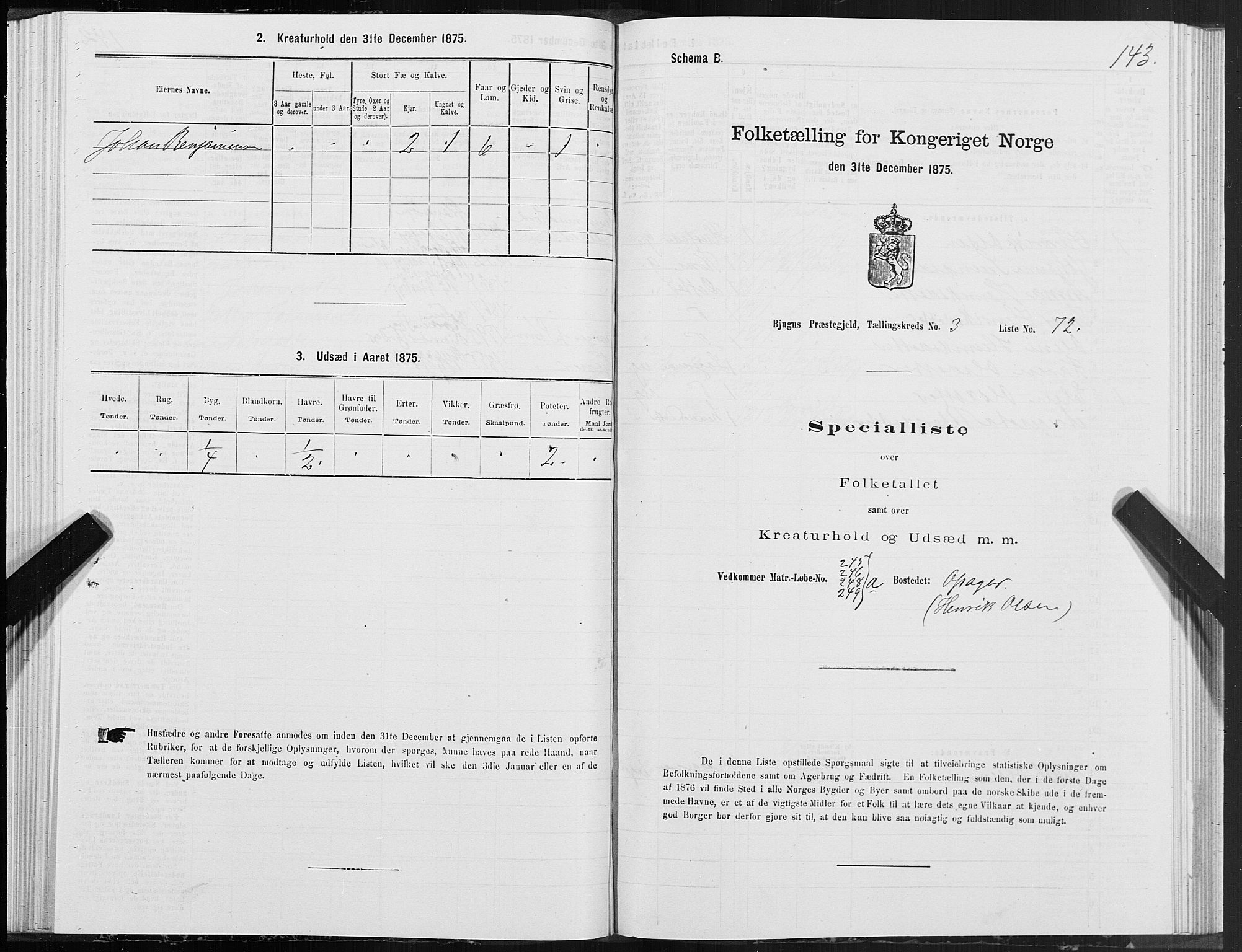 SAT, 1875 census for 1627P Bjugn, 1875, p. 2143